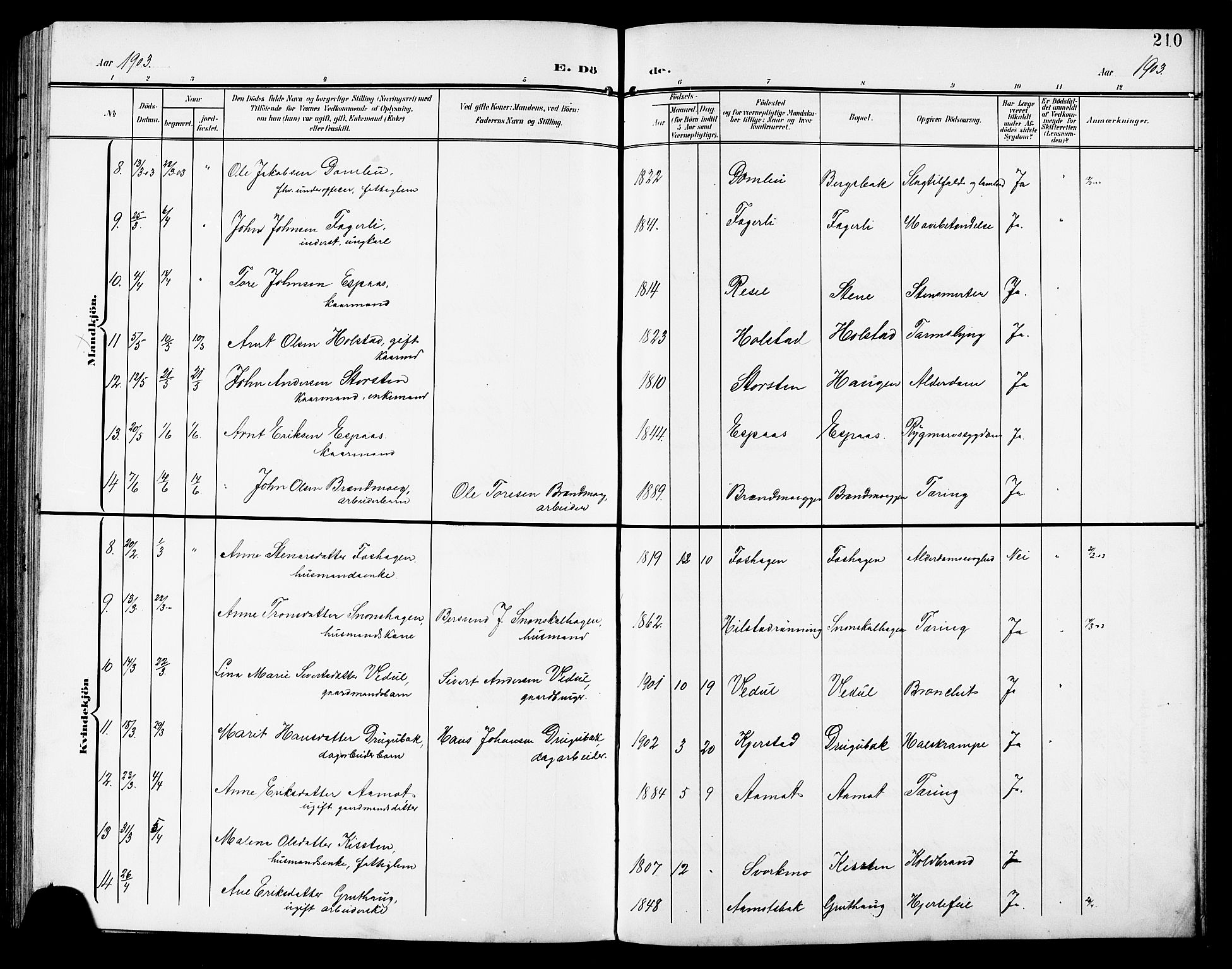 Ministerialprotokoller, klokkerbøker og fødselsregistre - Sør-Trøndelag, AV/SAT-A-1456/672/L0864: Parish register (copy) no. 672C03, 1902-1914, p. 210