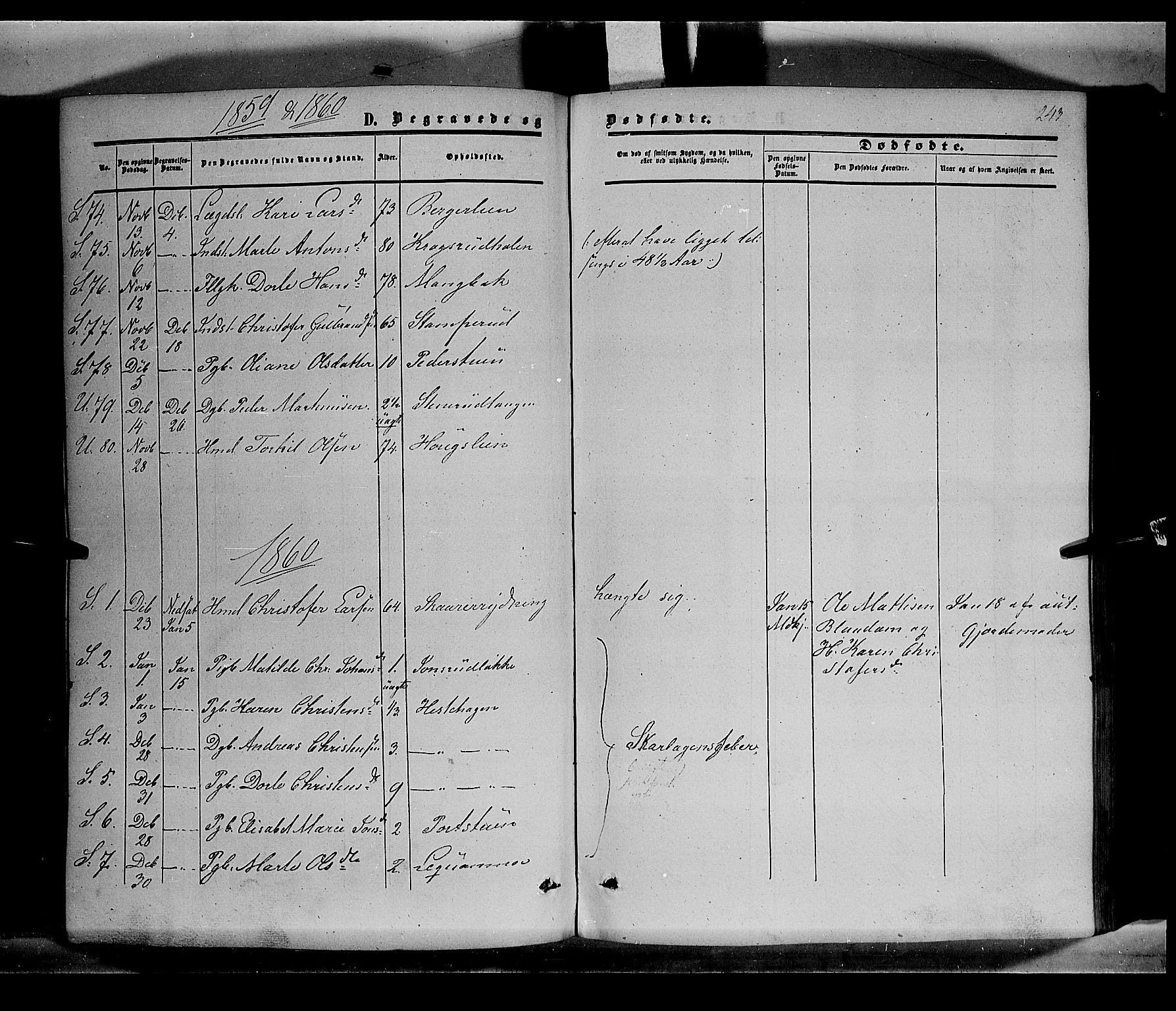 Sør-Odal prestekontor, AV/SAH-PREST-030/H/Ha/Haa/L0002: Parish register (official) no. 2, 1859-1863, p. 243