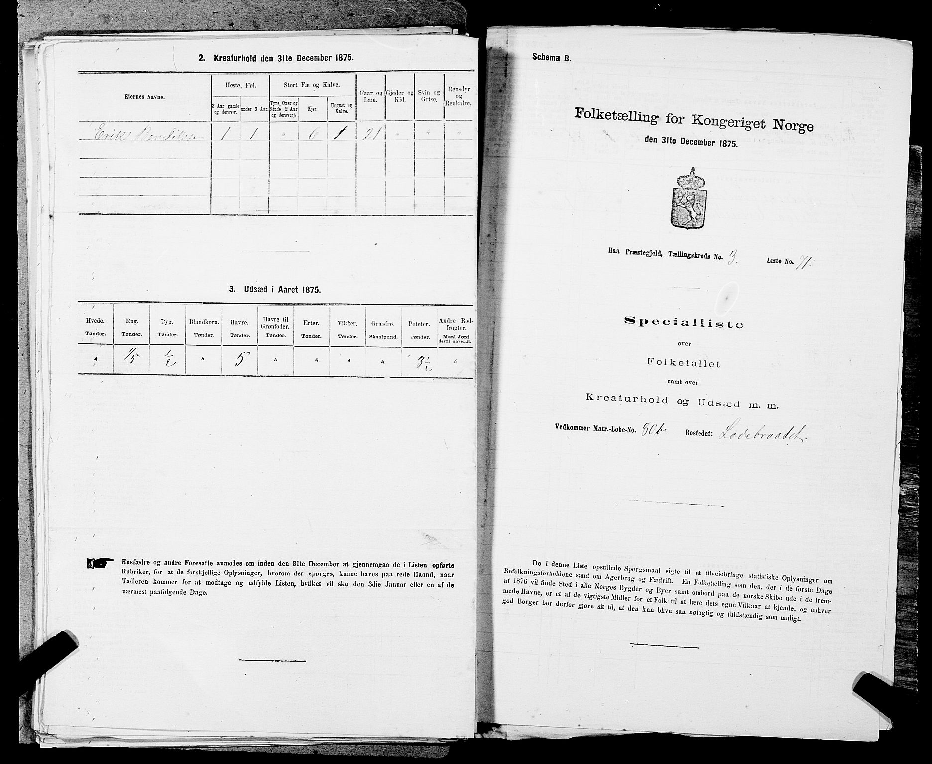 SAST, 1875 census for 1119P Hå, 1875, p. 467