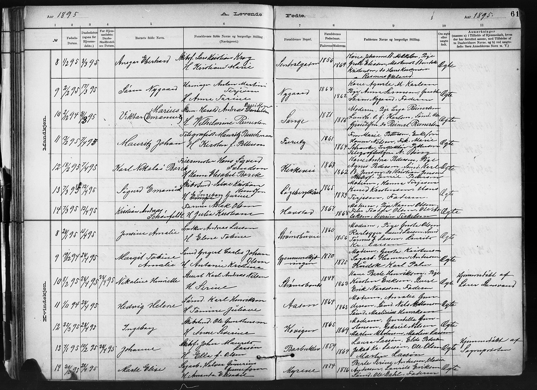 Barbu sokneprestkontor, SAK/1111-0003/F/Fb/L0002: Parish register (copy) no. B 2, 1890-1922, p. 61