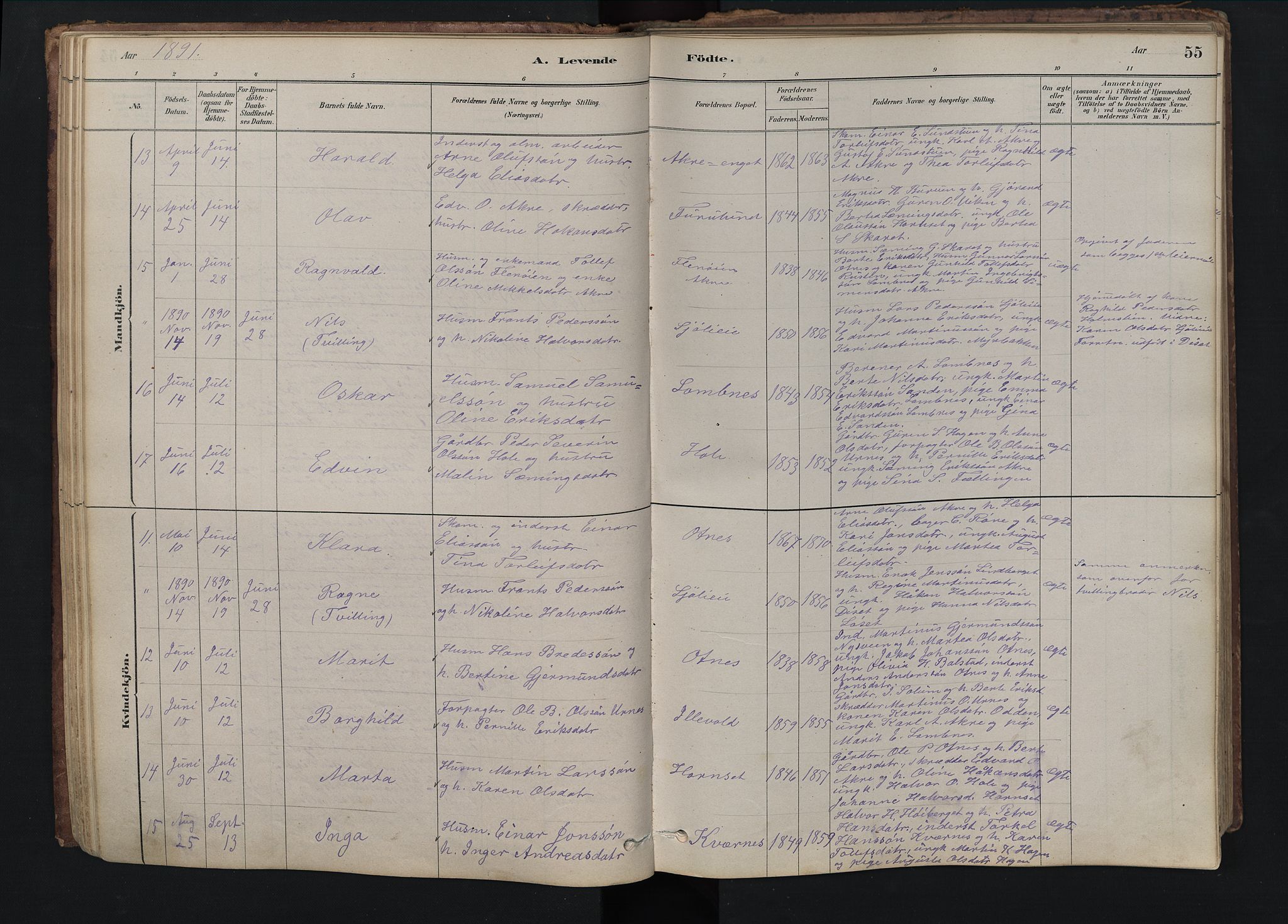 Rendalen prestekontor, SAH/PREST-054/H/Ha/Hab/L0009: Parish register (copy) no. 9, 1879-1902, p. 55