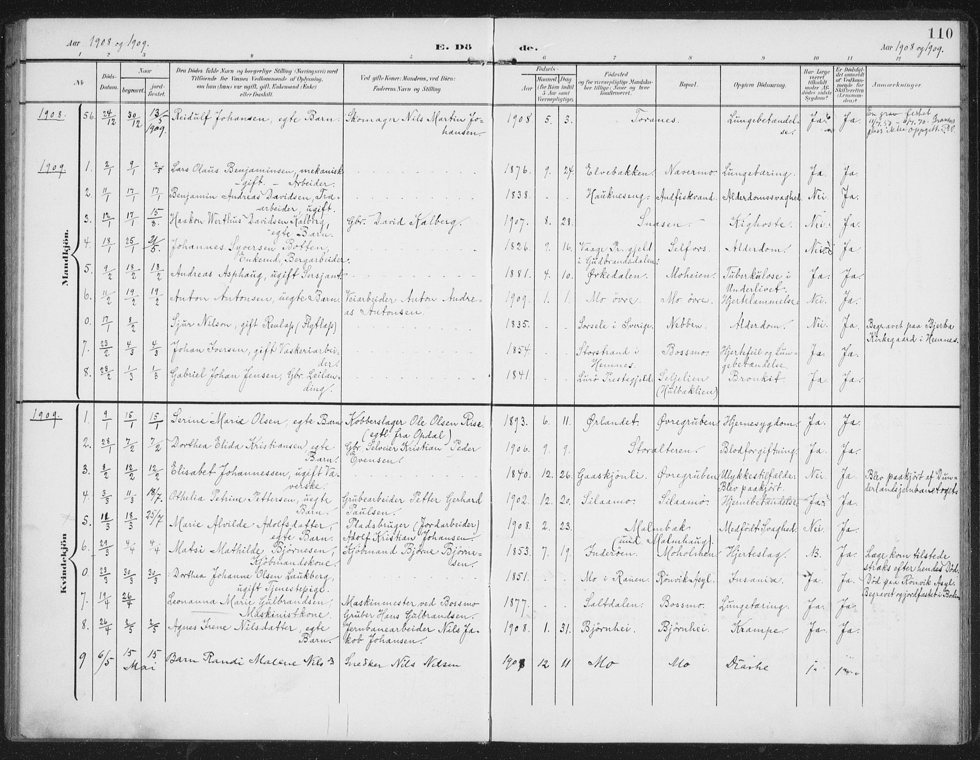 Ministerialprotokoller, klokkerbøker og fødselsregistre - Nordland, AV/SAT-A-1459/827/L0403: Parish register (official) no. 827A15, 1903-1912, p. 110