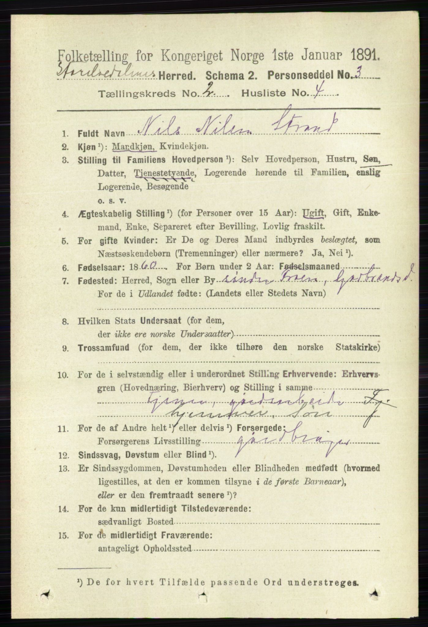 RA, 1891 census for 0430 Stor-Elvdal, 1891, p. 394