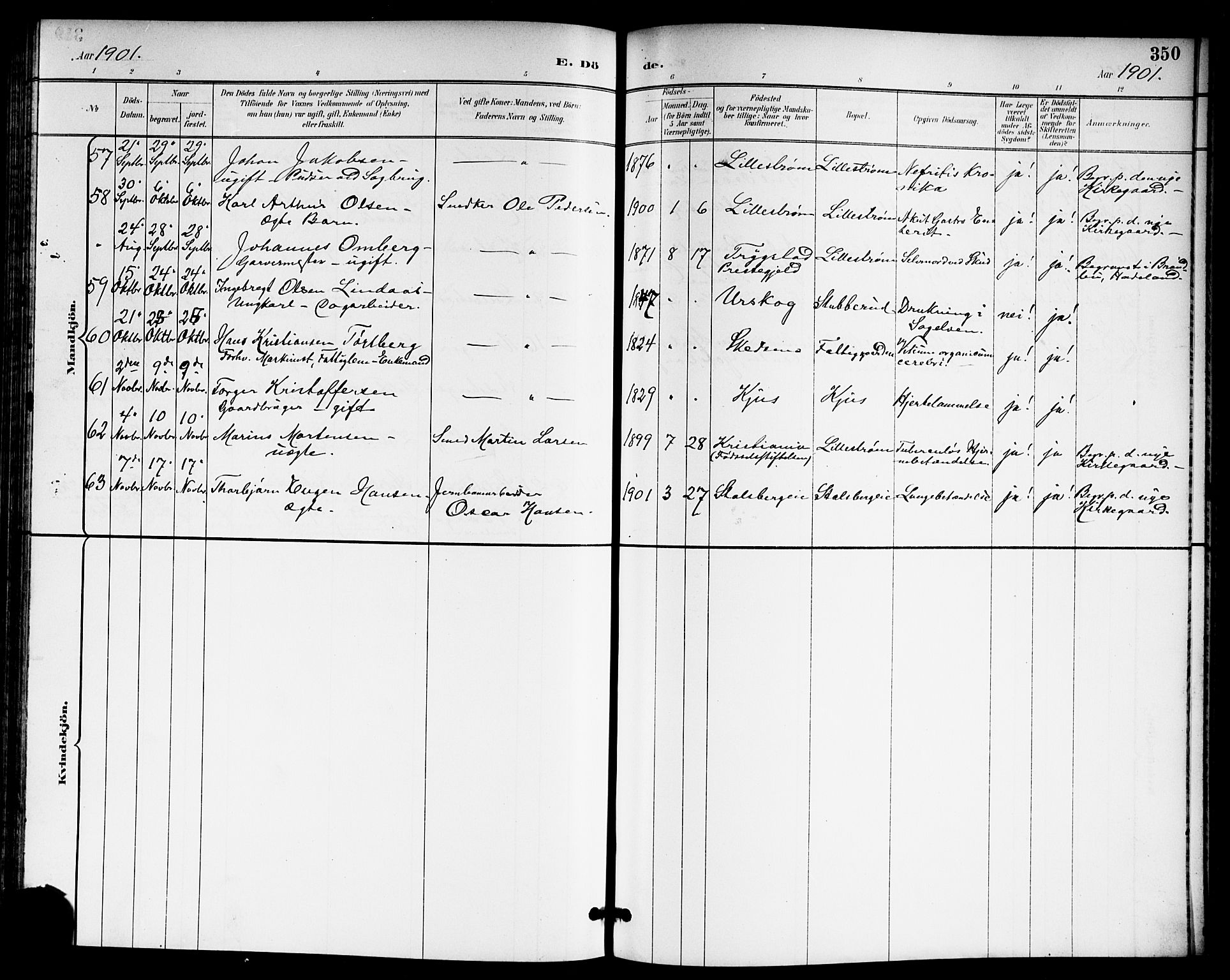 Skedsmo prestekontor Kirkebøker, AV/SAO-A-10033a/G/Ga/L0005a: Parish register (copy) no. I 5A, 1896-1901, p. 350