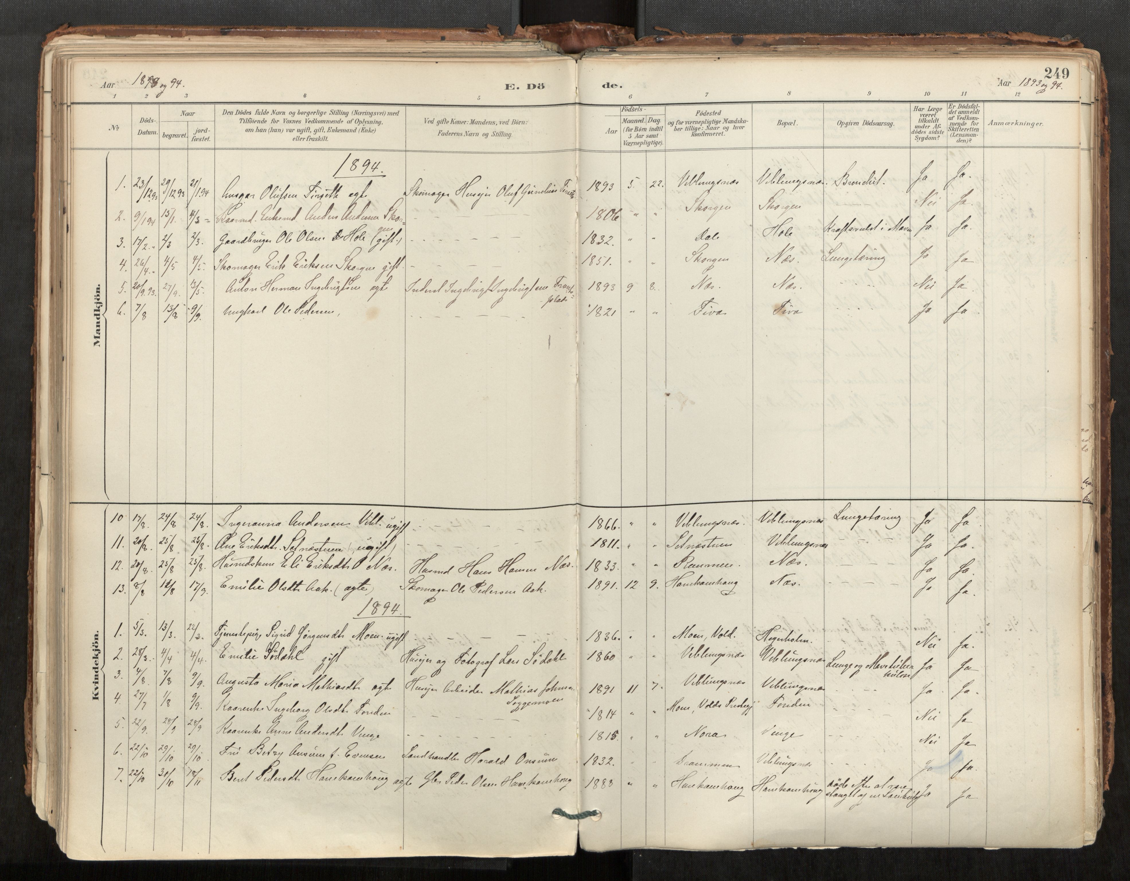 Ministerialprotokoller, klokkerbøker og fødselsregistre - Møre og Romsdal, AV/SAT-A-1454/544/L0585: Parish register (official) no. 544A06, 1887-1924, p. 249