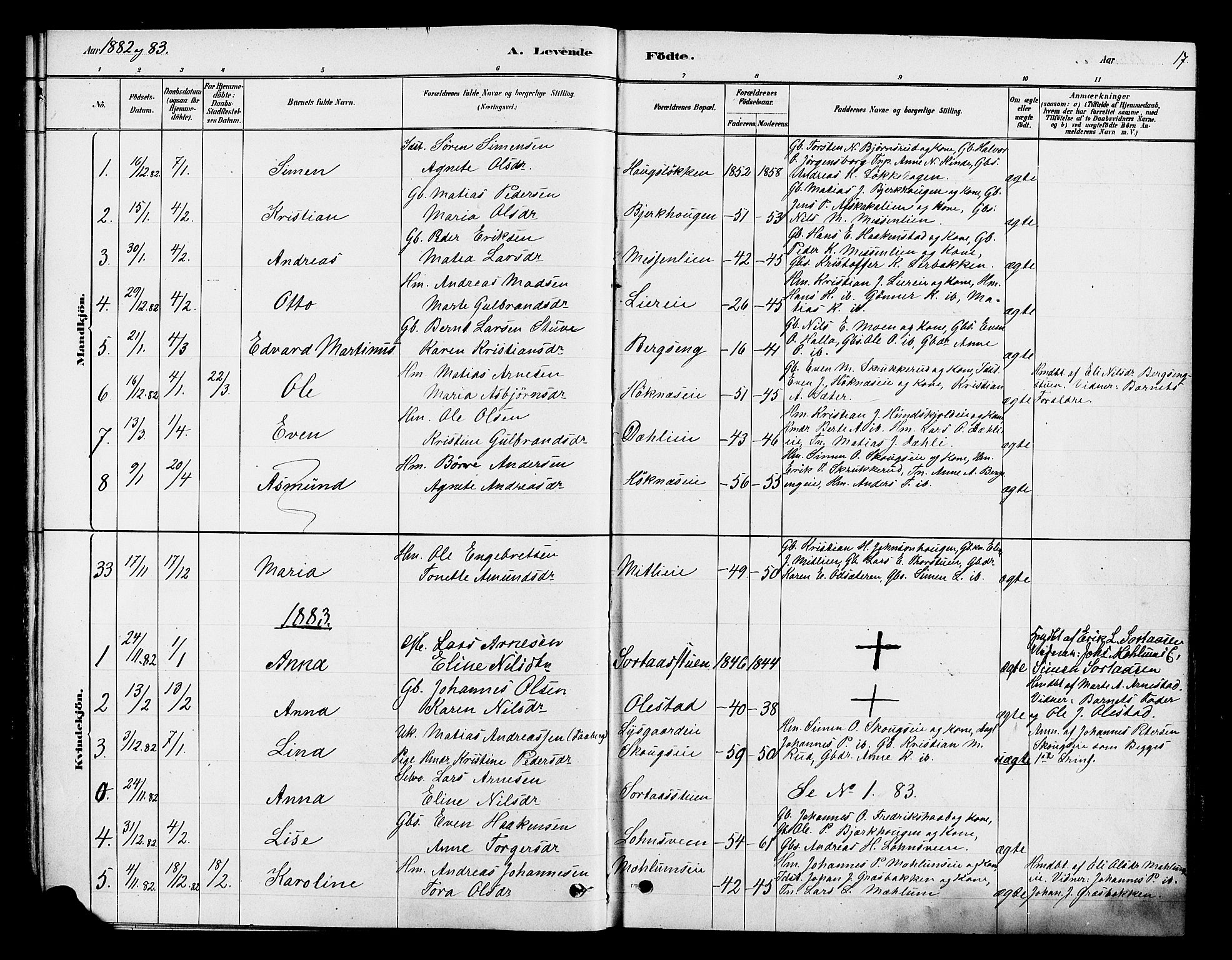 Ringsaker prestekontor, AV/SAH-PREST-014/K/Ka/L0013: Parish register (official) no. 13, 1879-1890, p. 17