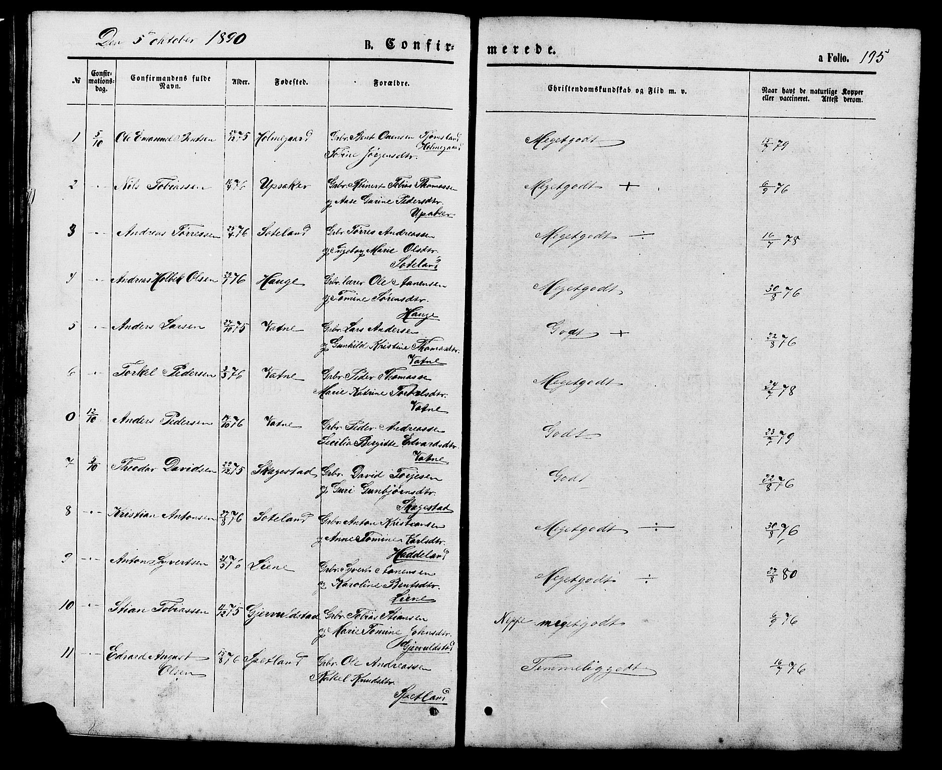 Holum sokneprestkontor, AV/SAK-1111-0022/F/Fb/Fba/L0004: Parish register (copy) no. B 4, 1867-1890, p. 195