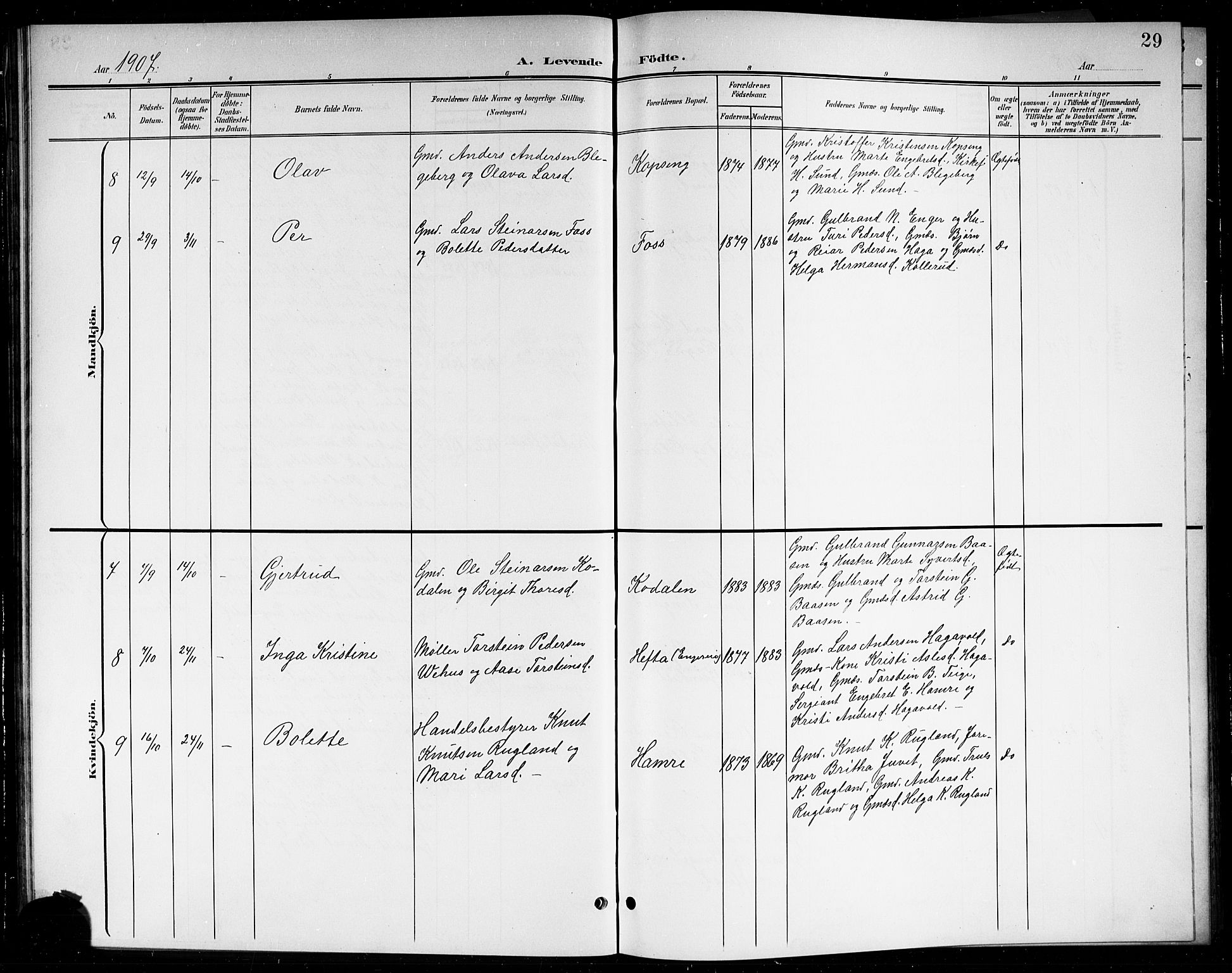 Sigdal kirkebøker, SAKO/A-245/G/Gb/L0003: Parish register (copy) no. II 3, 1901-1916, p. 29