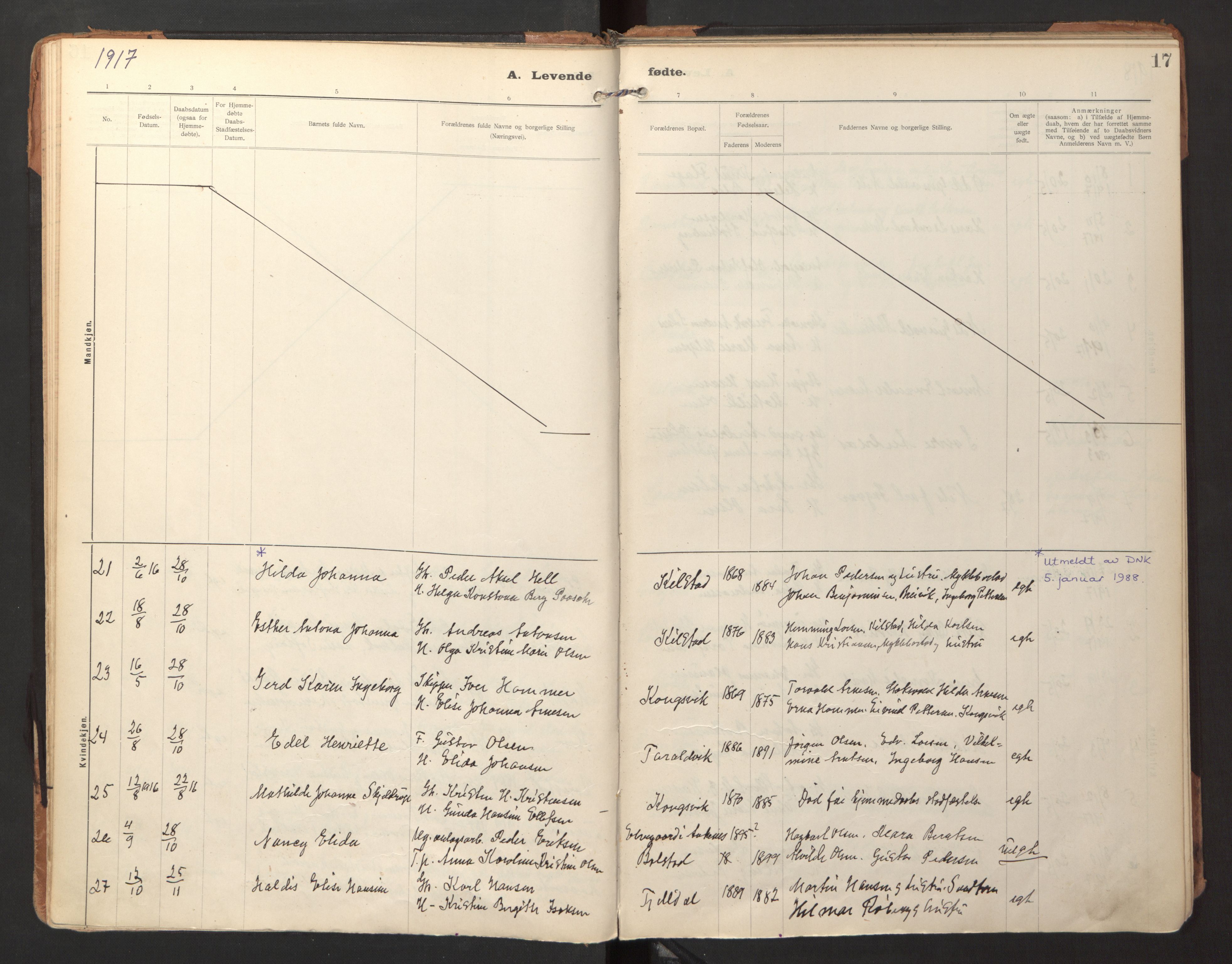 Ministerialprotokoller, klokkerbøker og fødselsregistre - Nordland, AV/SAT-A-1459/865/L0928: Parish register (official) no. 865A06, 1913-1926, p. 17