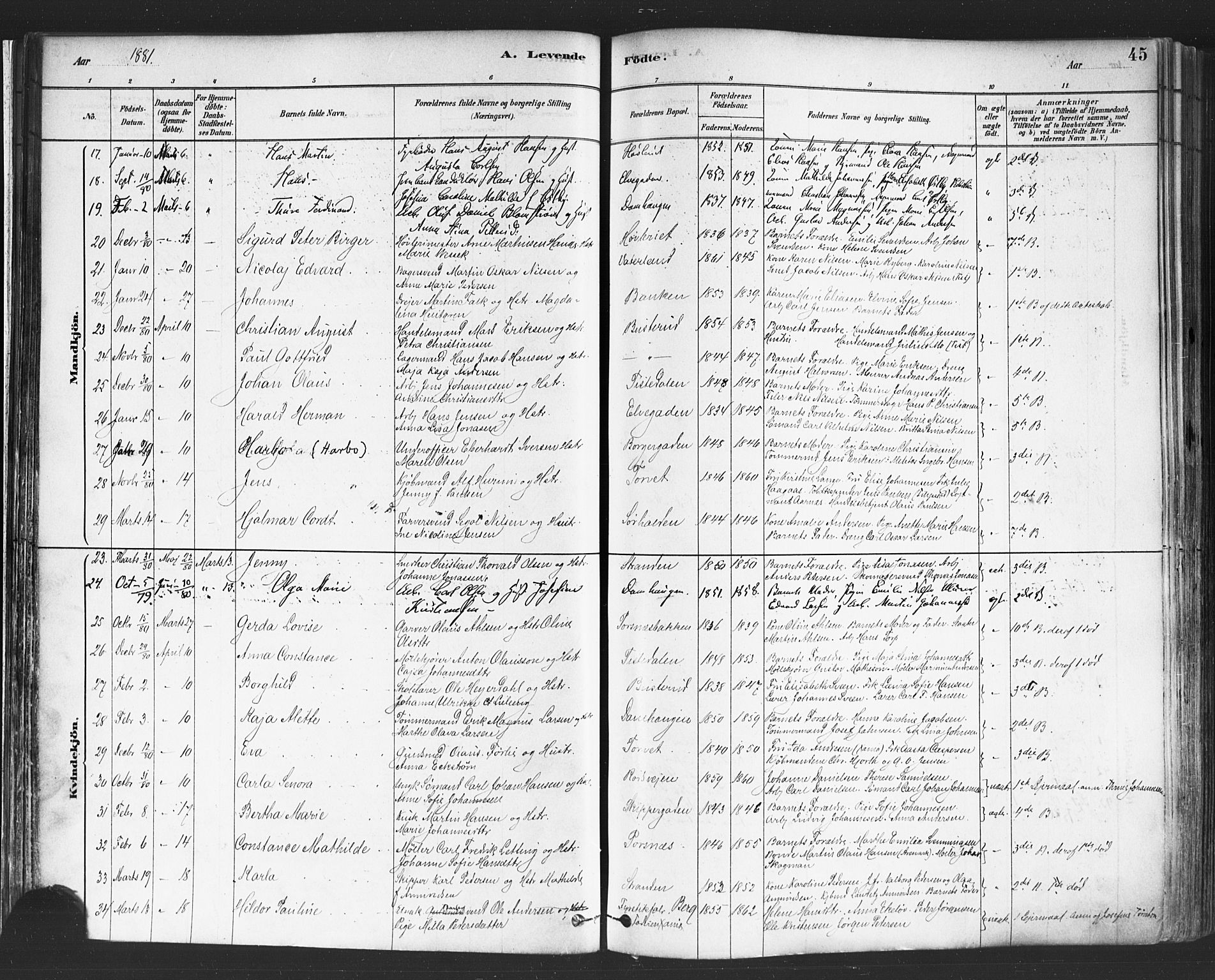 Halden prestekontor Kirkebøker, AV/SAO-A-10909/F/Fa/L0011: Parish register (official) no. I 11, 1878-1889, p. 45