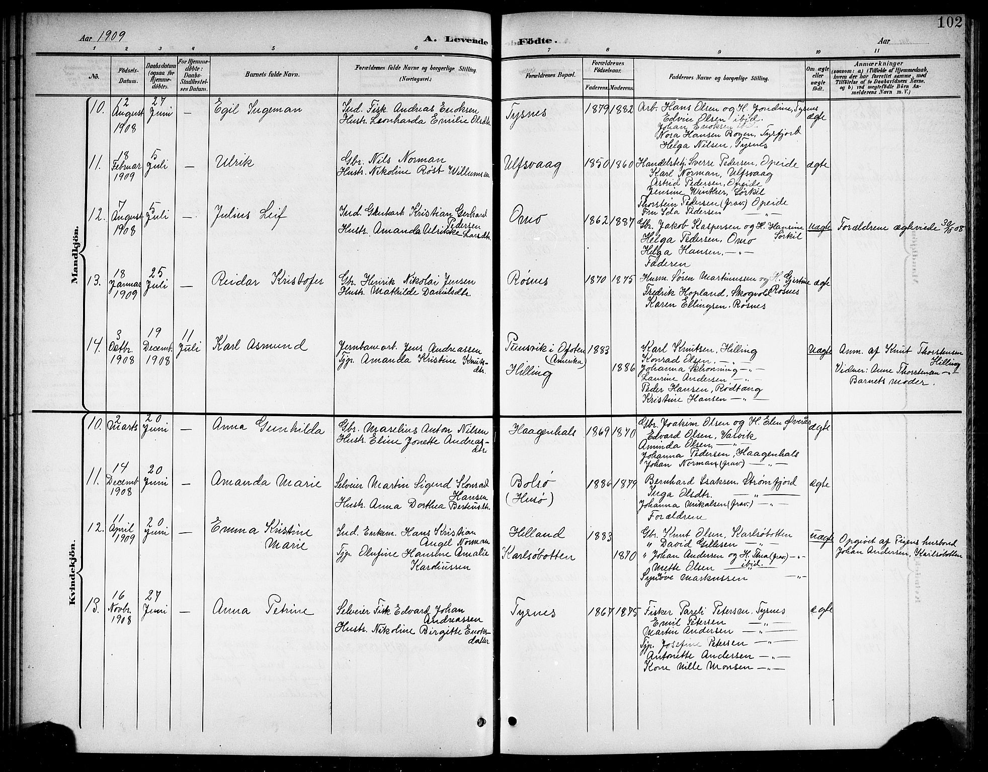 Ministerialprotokoller, klokkerbøker og fødselsregistre - Nordland, AV/SAT-A-1459/859/L0860: Parish register (copy) no. 859C06, 1899-1909, p. 102