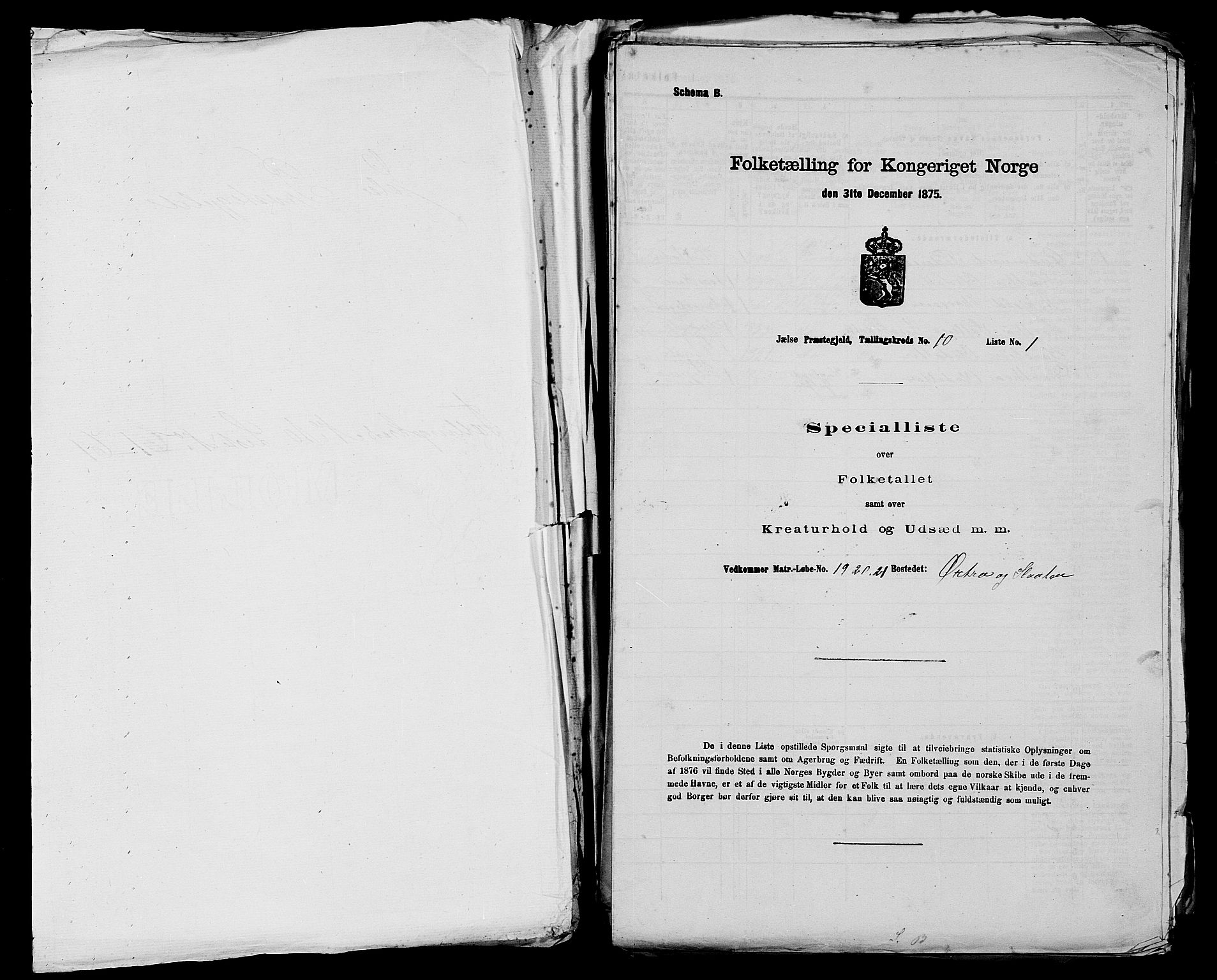 SAST, 1875 census for 1138P Jelsa, 1875, p. 847