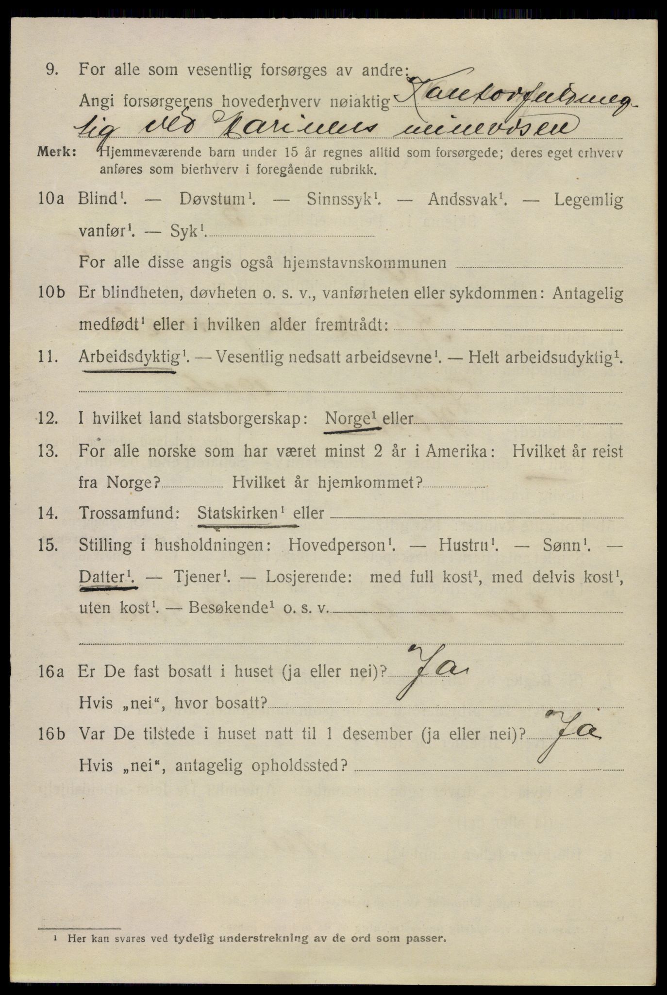 SAKO, 1920 census for Horten, 1920, p. 20730