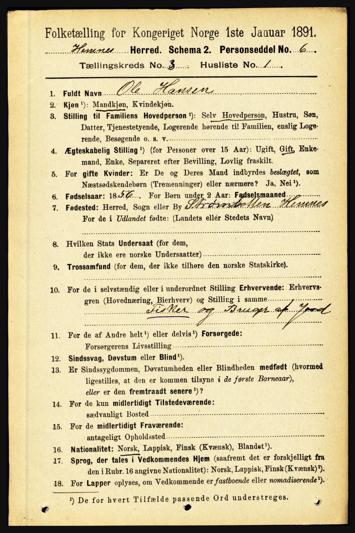 RA, 1891 census for 1832 Hemnes, 1891, p. 1929