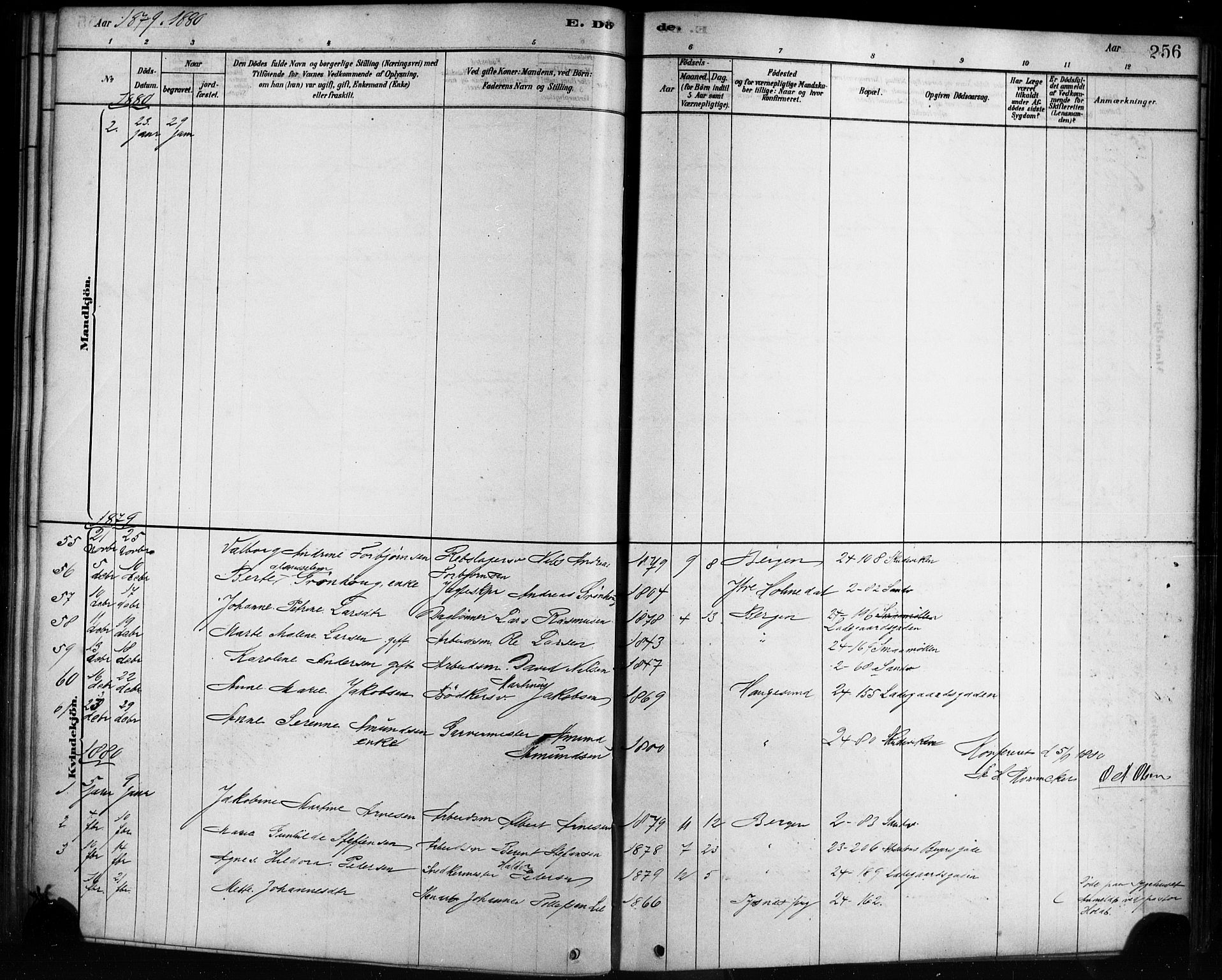 Sandviken Sokneprestembete, AV/SAB-A-77601/H/Ha/L0002: Parish register (official) no. A 2, 1878-1896, p. 256
