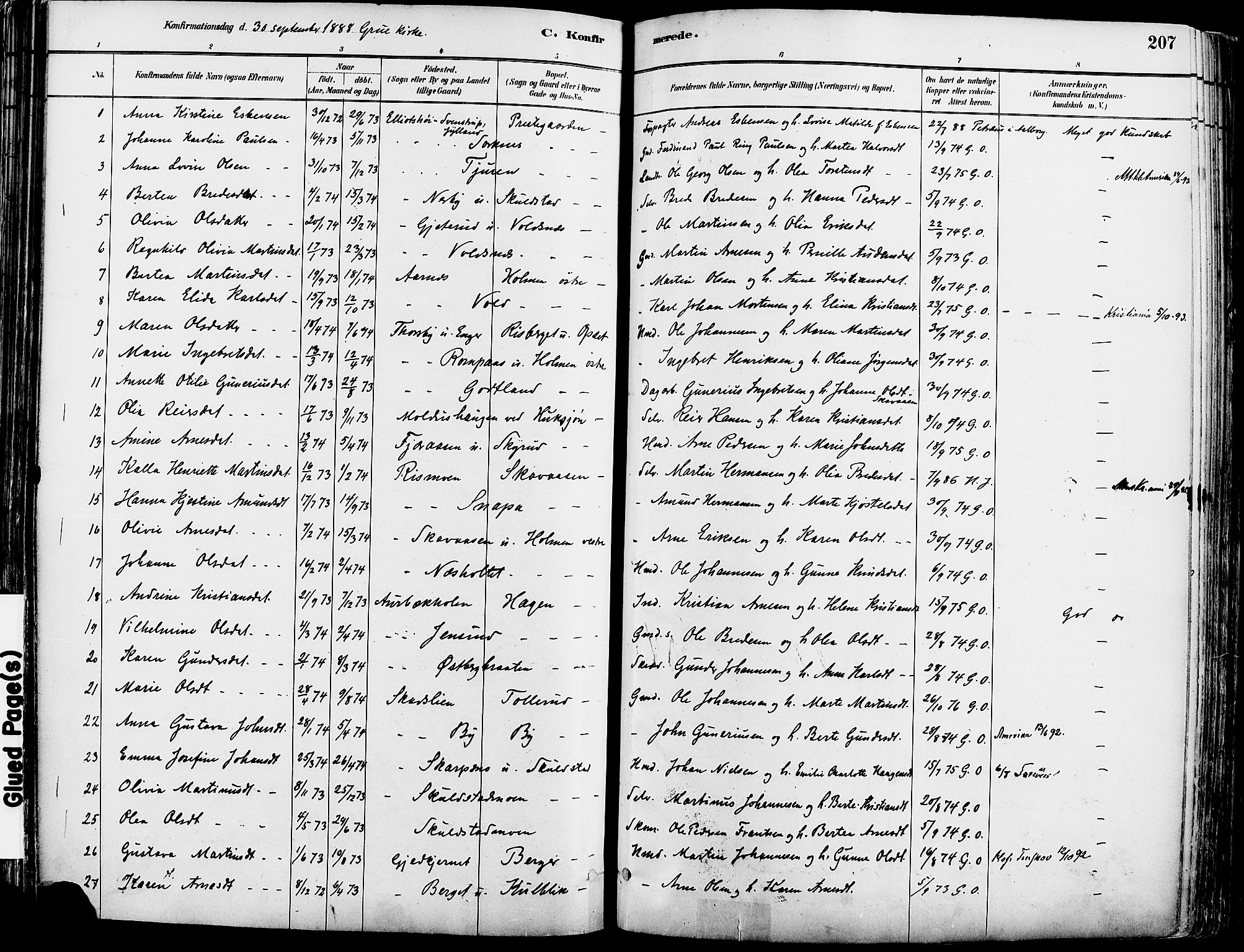 Grue prestekontor, AV/SAH-PREST-036/H/Ha/Haa/L0012: Parish register (official) no. 12, 1881-1897, p. 207