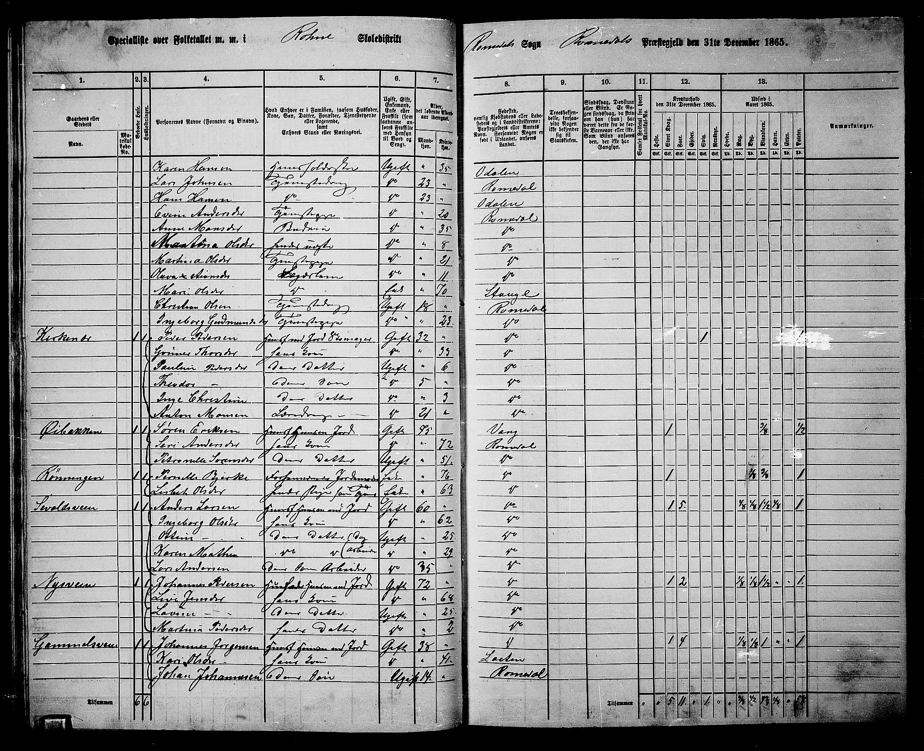 RA, 1865 census for Romedal, 1865, p. 55