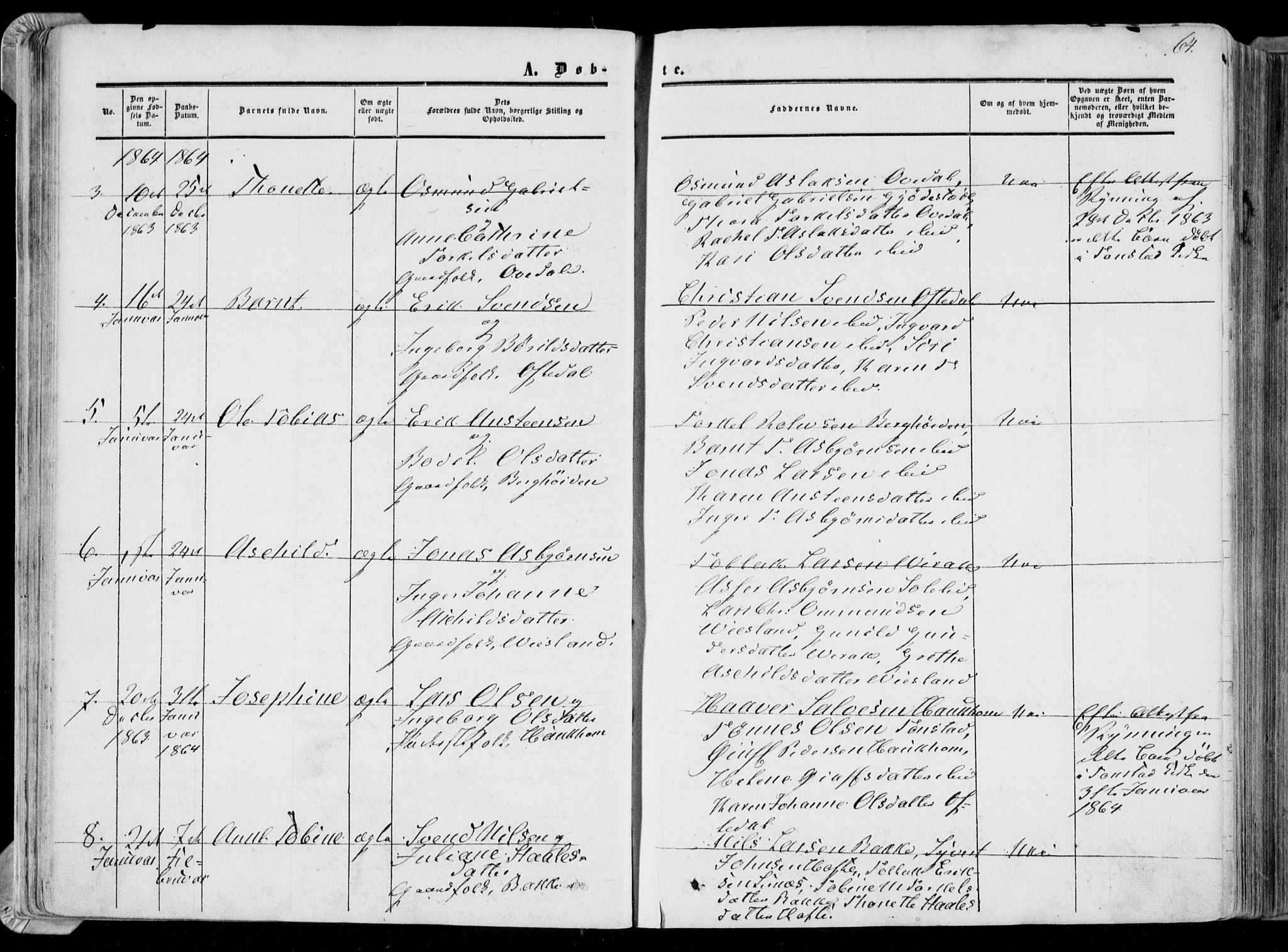 Bakke sokneprestkontor, AV/SAK-1111-0002/F/Fa/Faa/L0006: Parish register (official) no. A 6, 1855-1877, p. 64