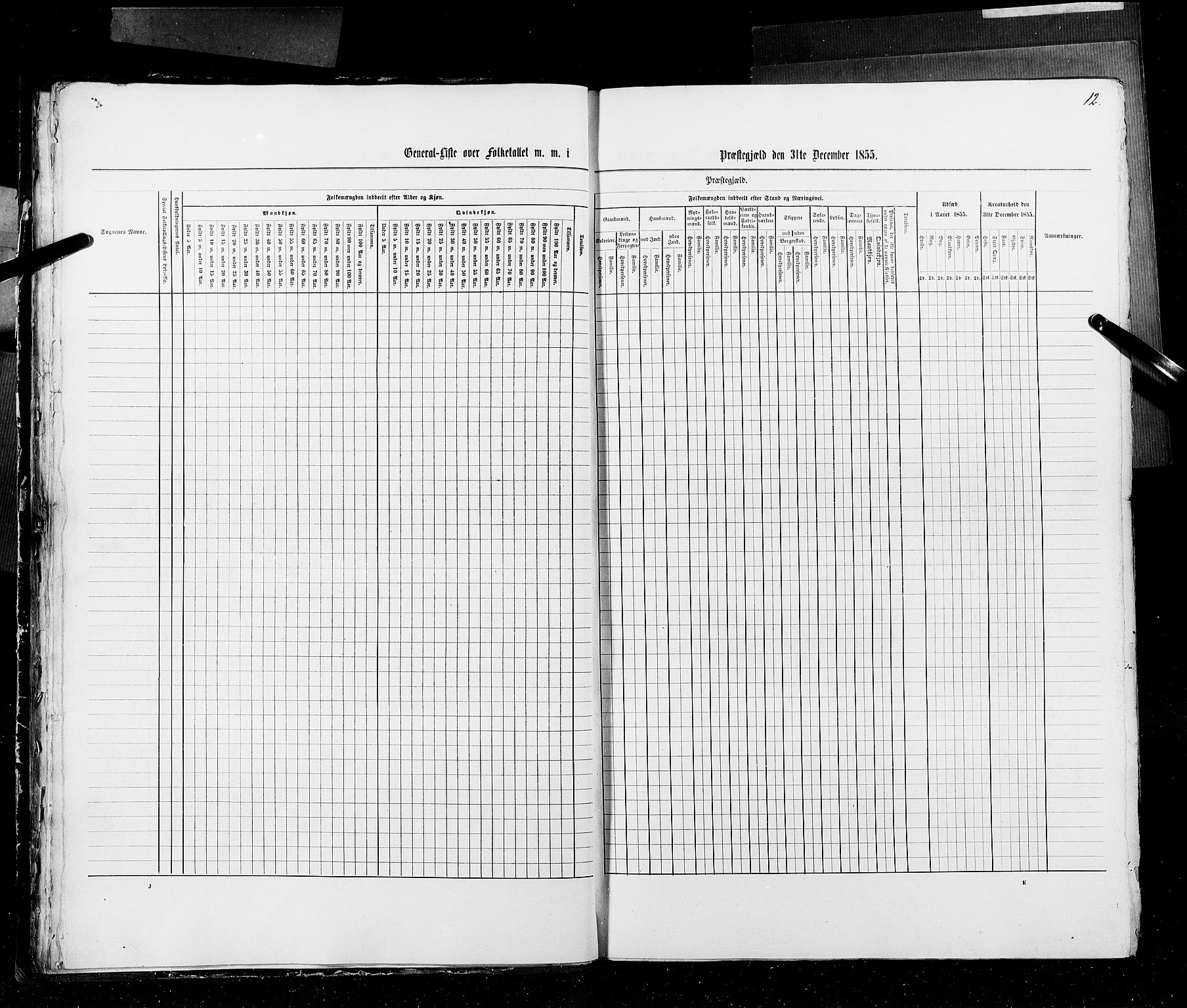 RA, Census 1855, vol. 2: Kristians amt, Buskerud amt og Jarlsberg og Larvik amt, 1855, p. 12