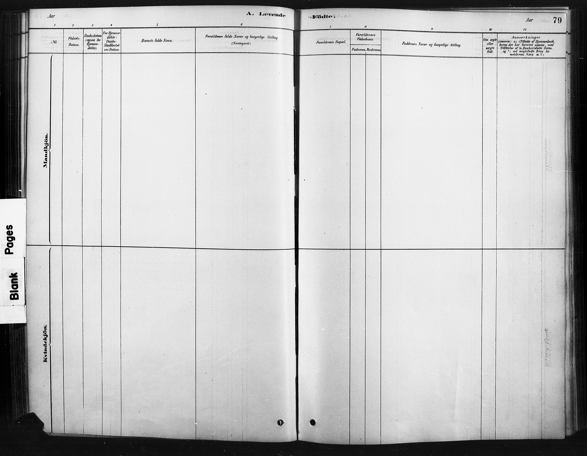 Rendalen prestekontor, SAH/PREST-054/H/Ha/Haa/L0010: Parish register (official) no. 10, 1878-1901, p. 79