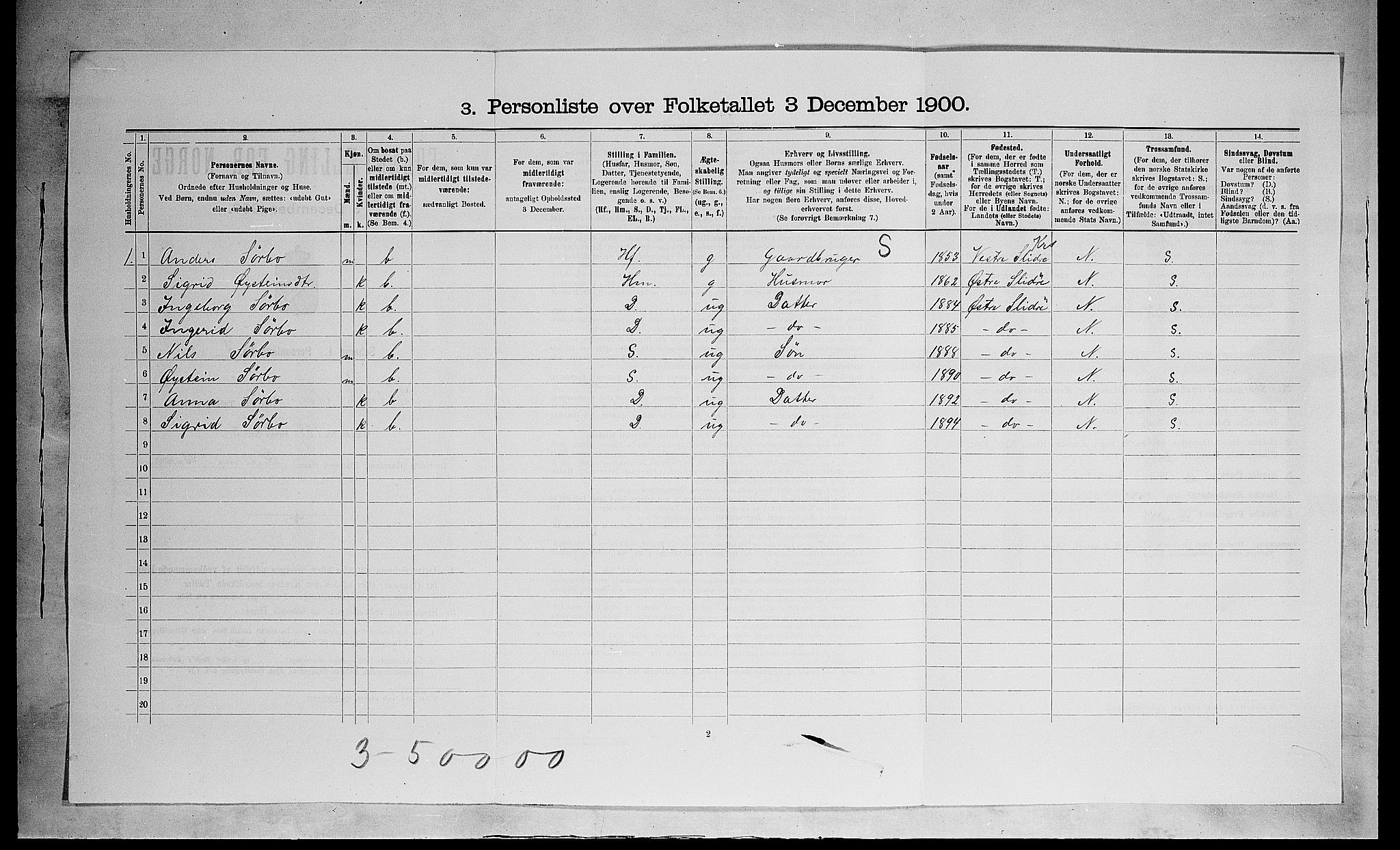 SAH, 1900 census for Nes, 1900, p. 1029