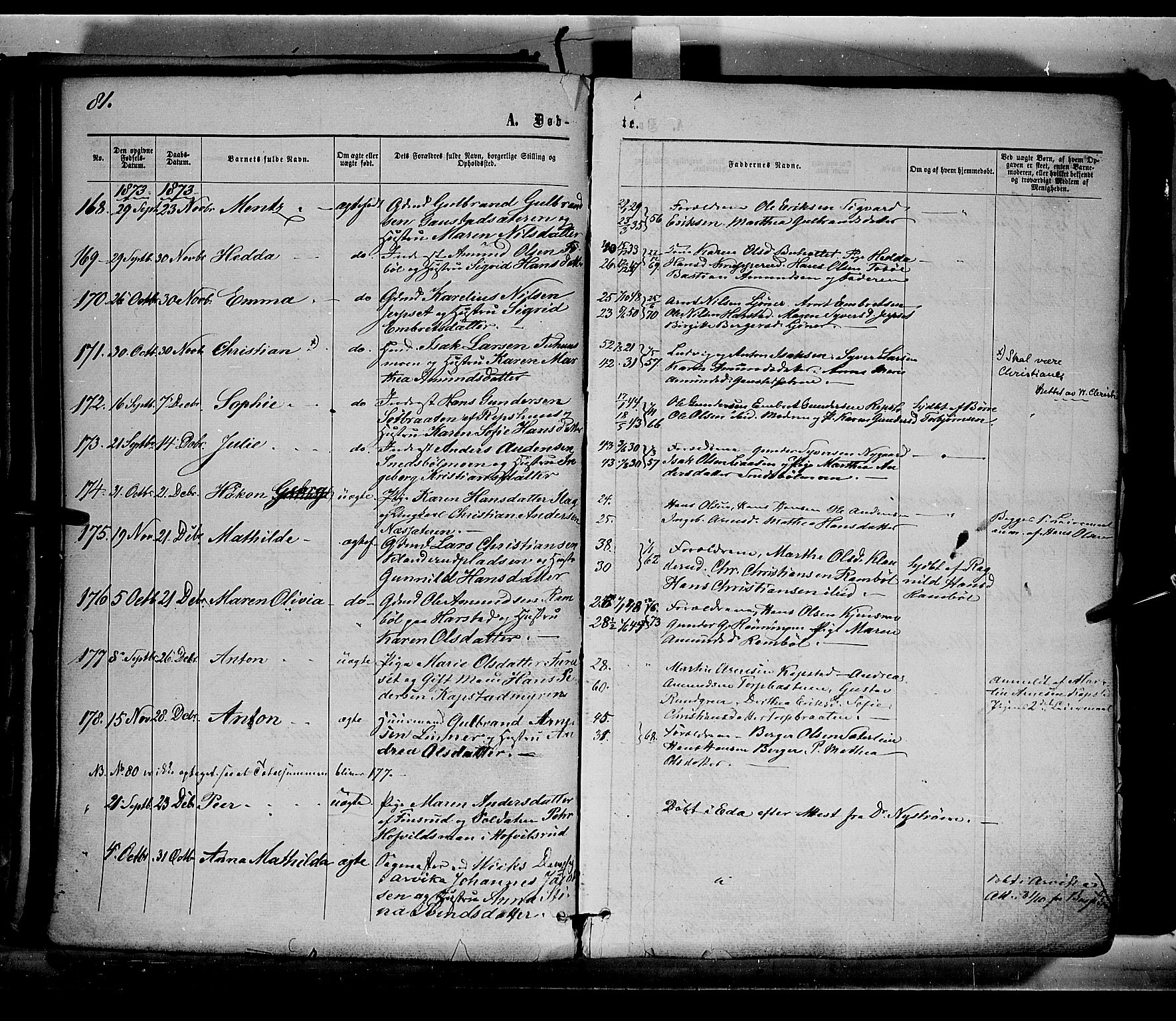 Eidskog prestekontor, AV/SAH-PREST-026/H/Ha/Haa/L0002: Parish register (official) no. 2, 1867-1878, p. 81