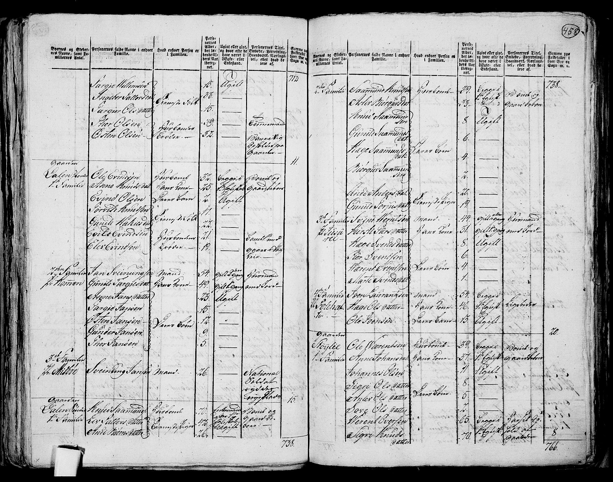 RA, 1801 census for 0829P Kviteseid, 1801, p. 457b-458a