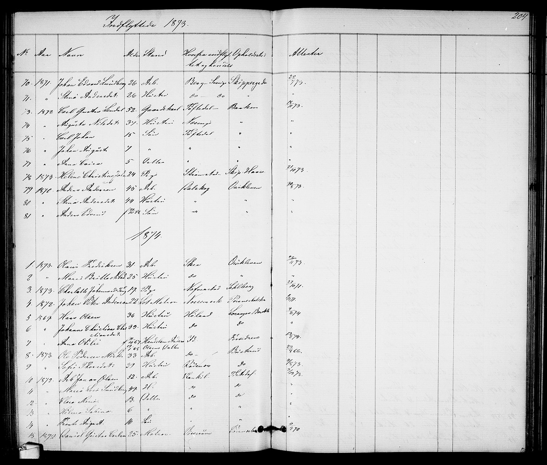 Halden prestekontor Kirkebøker, SAO/A-10909/G/Ga/L0007: Parish register (copy) no. 7, 1869-1884, p. 204