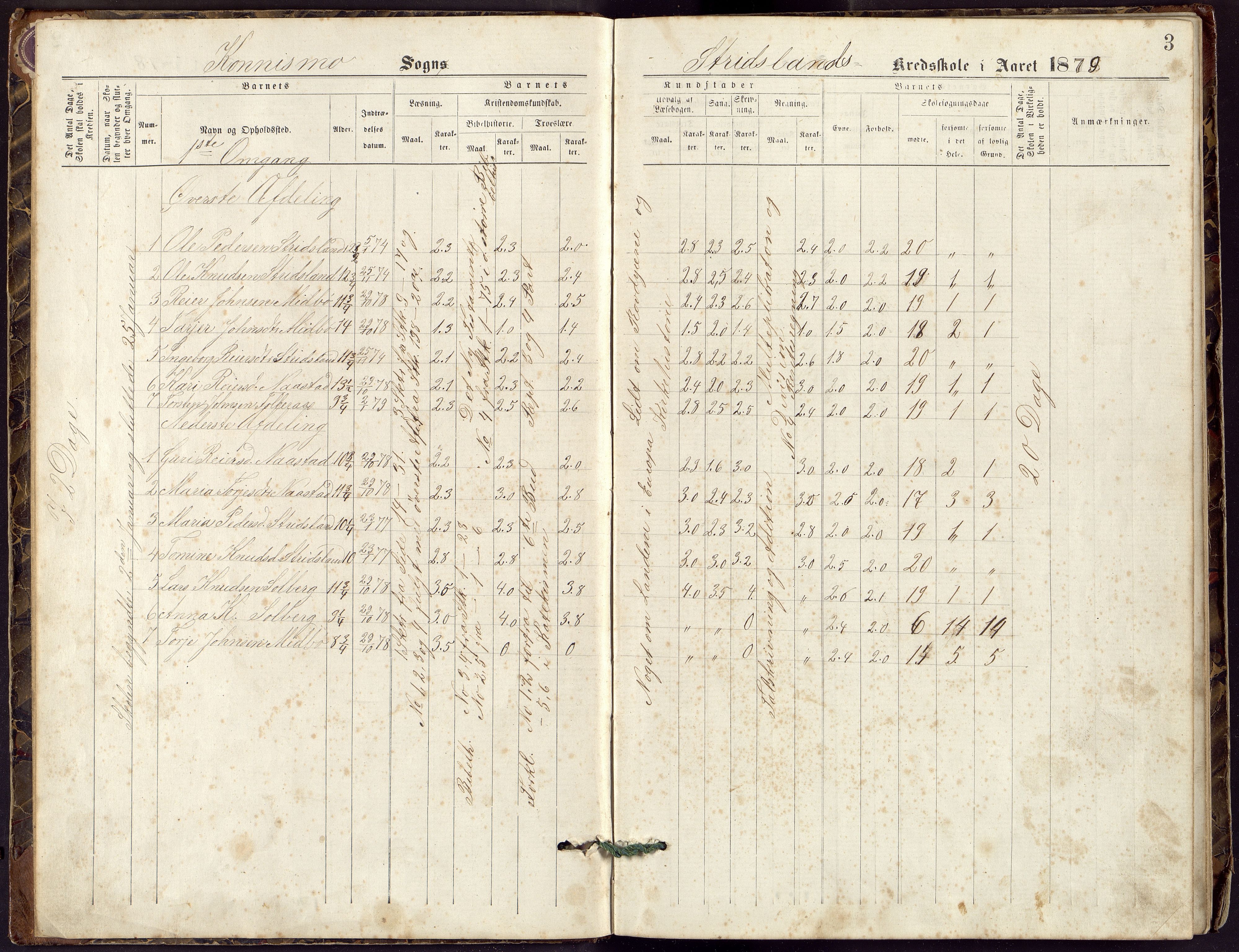 Nord-Audnedal kommune - Strisland Skole, ARKSOR/1027NA554/H/L0001: Skoleprotokoll (d), 1878-1908