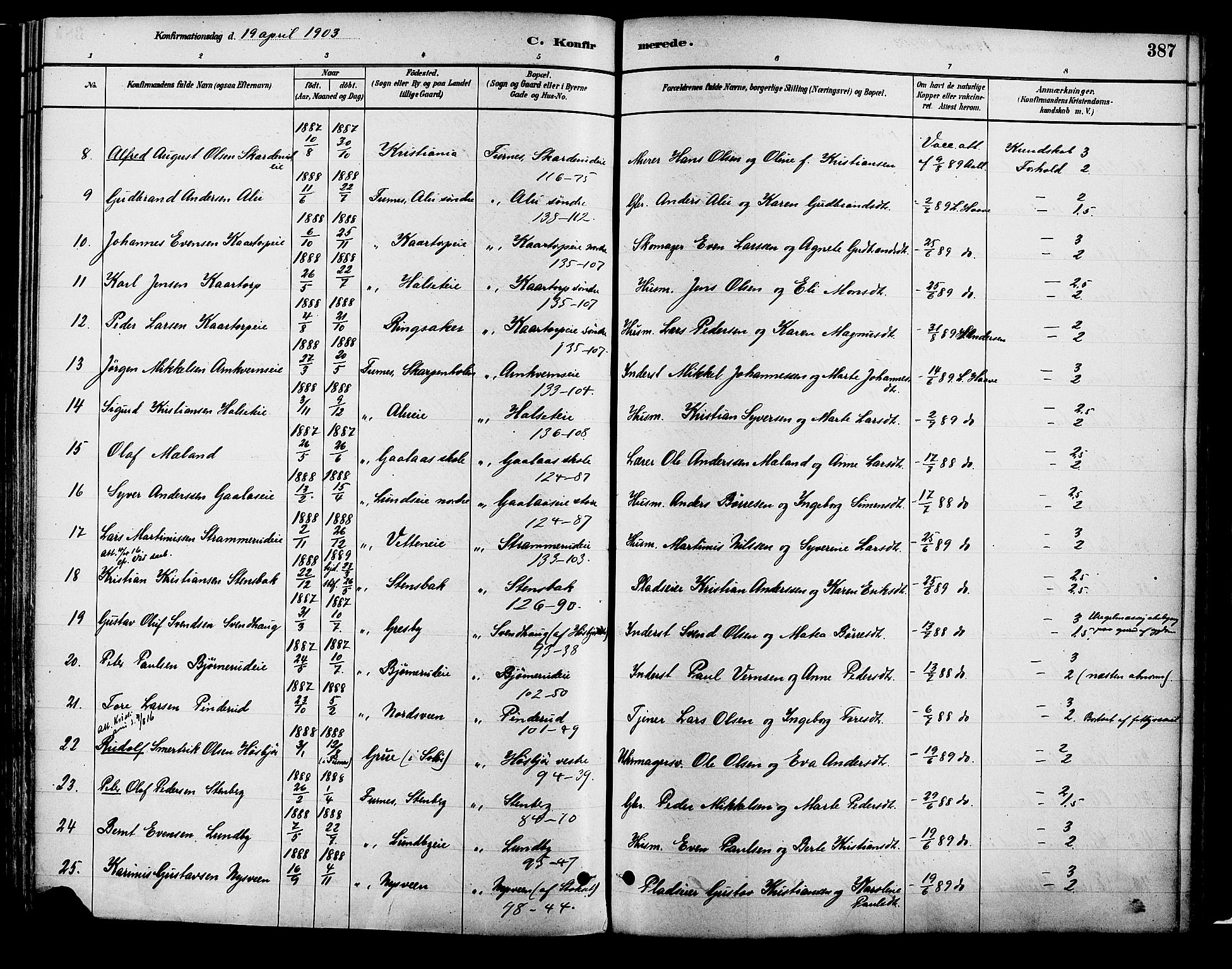 Vang prestekontor, Hedmark, AV/SAH-PREST-008/H/Ha/Haa/L0018B: Parish register (official) no. 18B, 1880-1906, p. 387