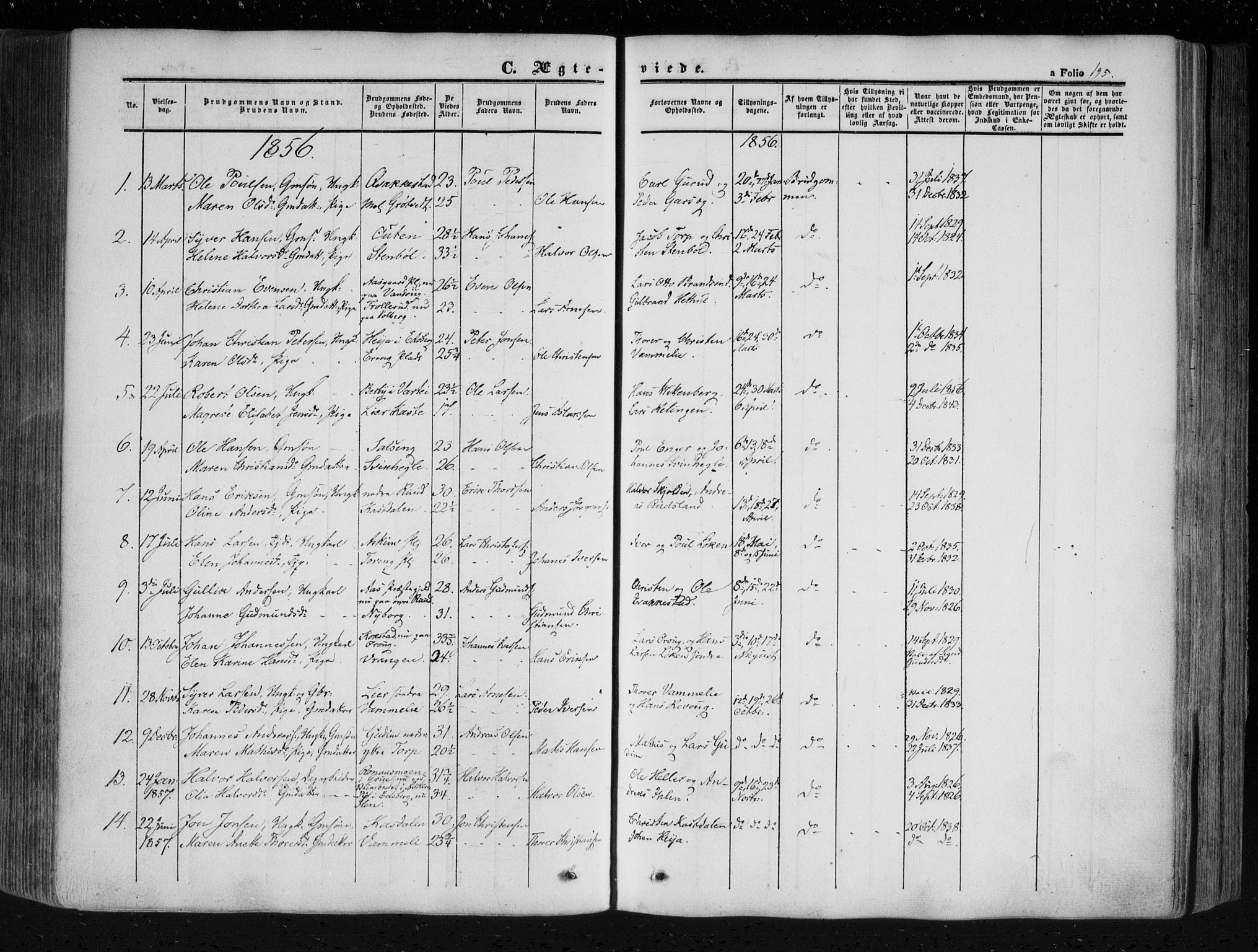 Askim prestekontor Kirkebøker, SAO/A-10900/F/Fa/L0005: Parish register (official) no. 5, 1847-1879, p. 195