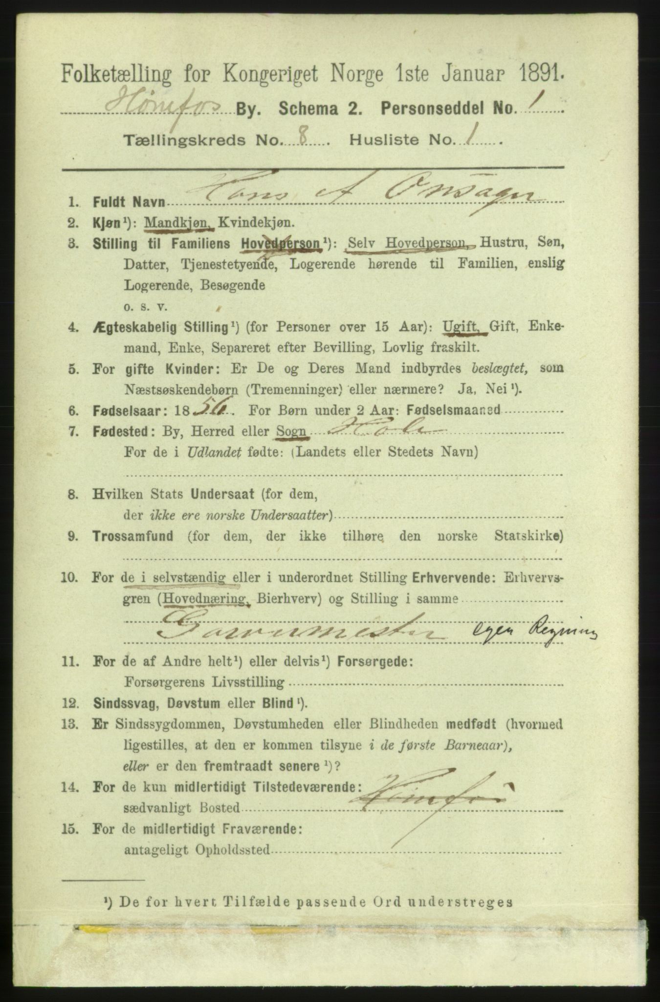 RA, 1891 census for 0601 Hønefoss, 1891, p. 1246