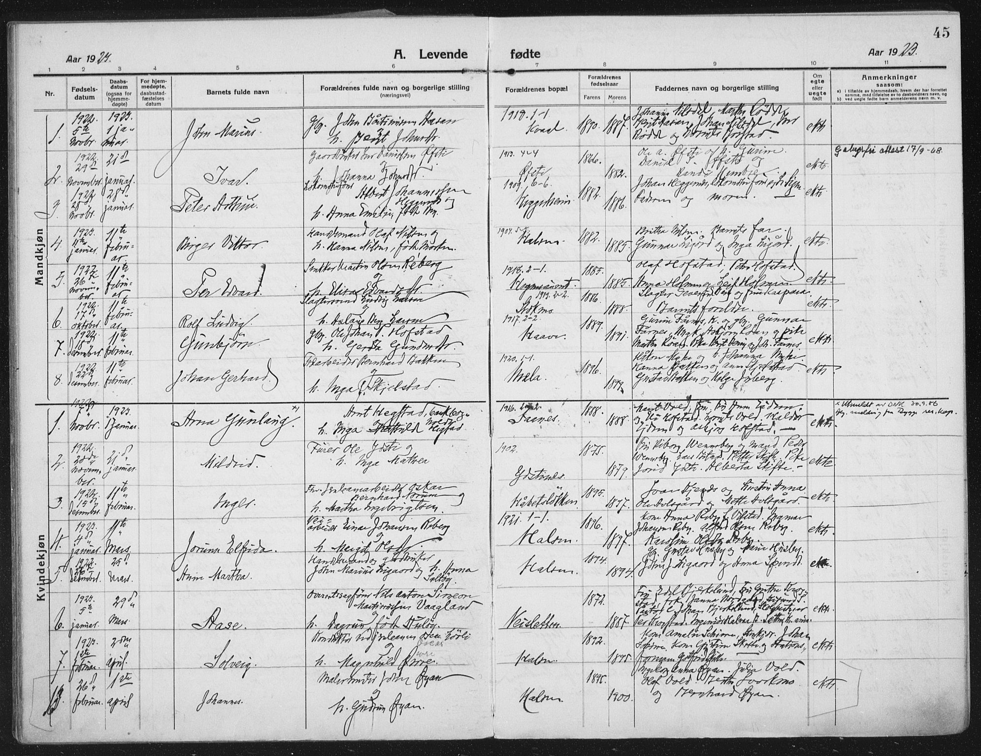 Ministerialprotokoller, klokkerbøker og fødselsregistre - Nord-Trøndelag, AV/SAT-A-1458/709/L0083: Parish register (official) no. 709A23, 1916-1928, p. 45