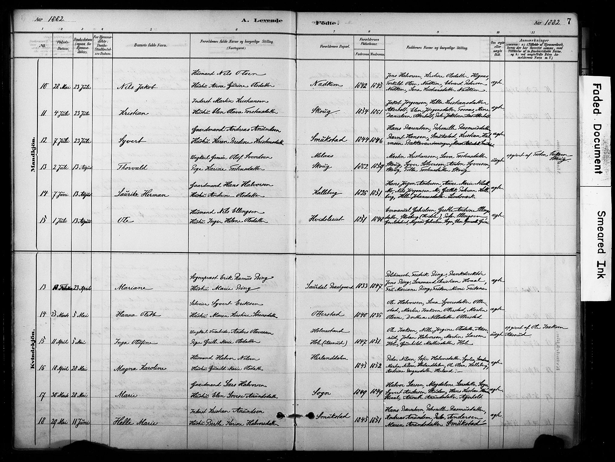 Lardal kirkebøker, AV/SAKO-A-350/F/Fb/L0001: Parish register (official) no. II 1, 1881-1911, p. 7