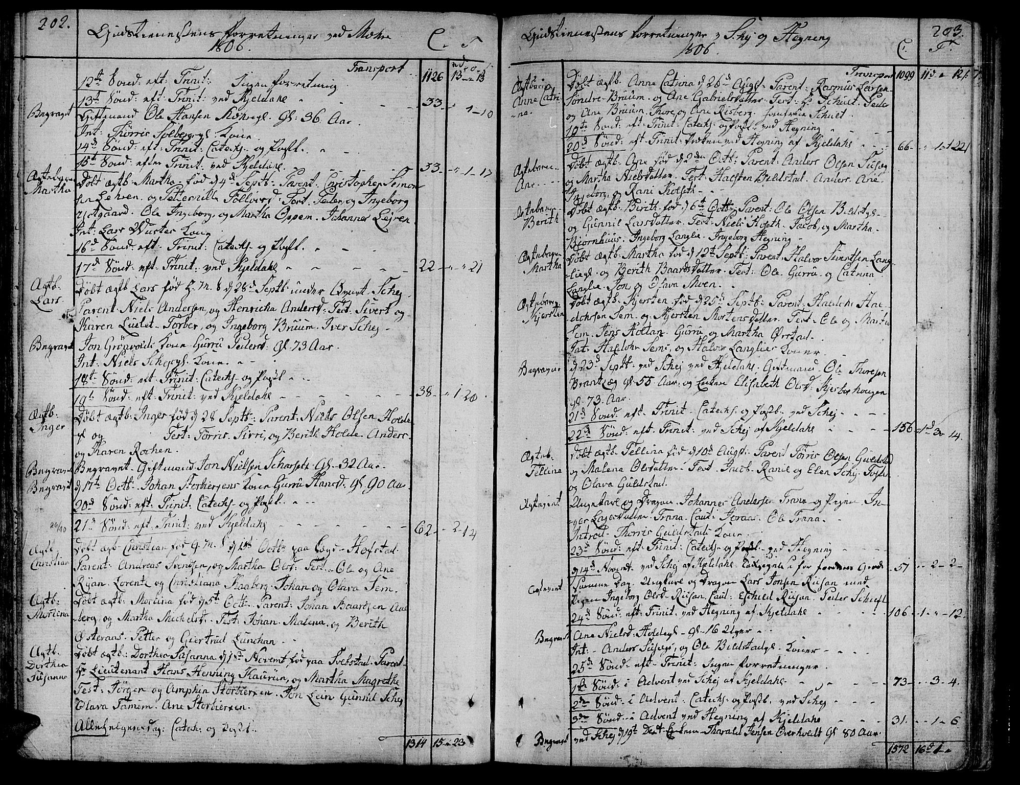 Ministerialprotokoller, klokkerbøker og fødselsregistre - Nord-Trøndelag, SAT/A-1458/735/L0332: Parish register (official) no. 735A03, 1795-1816, p. 202-203