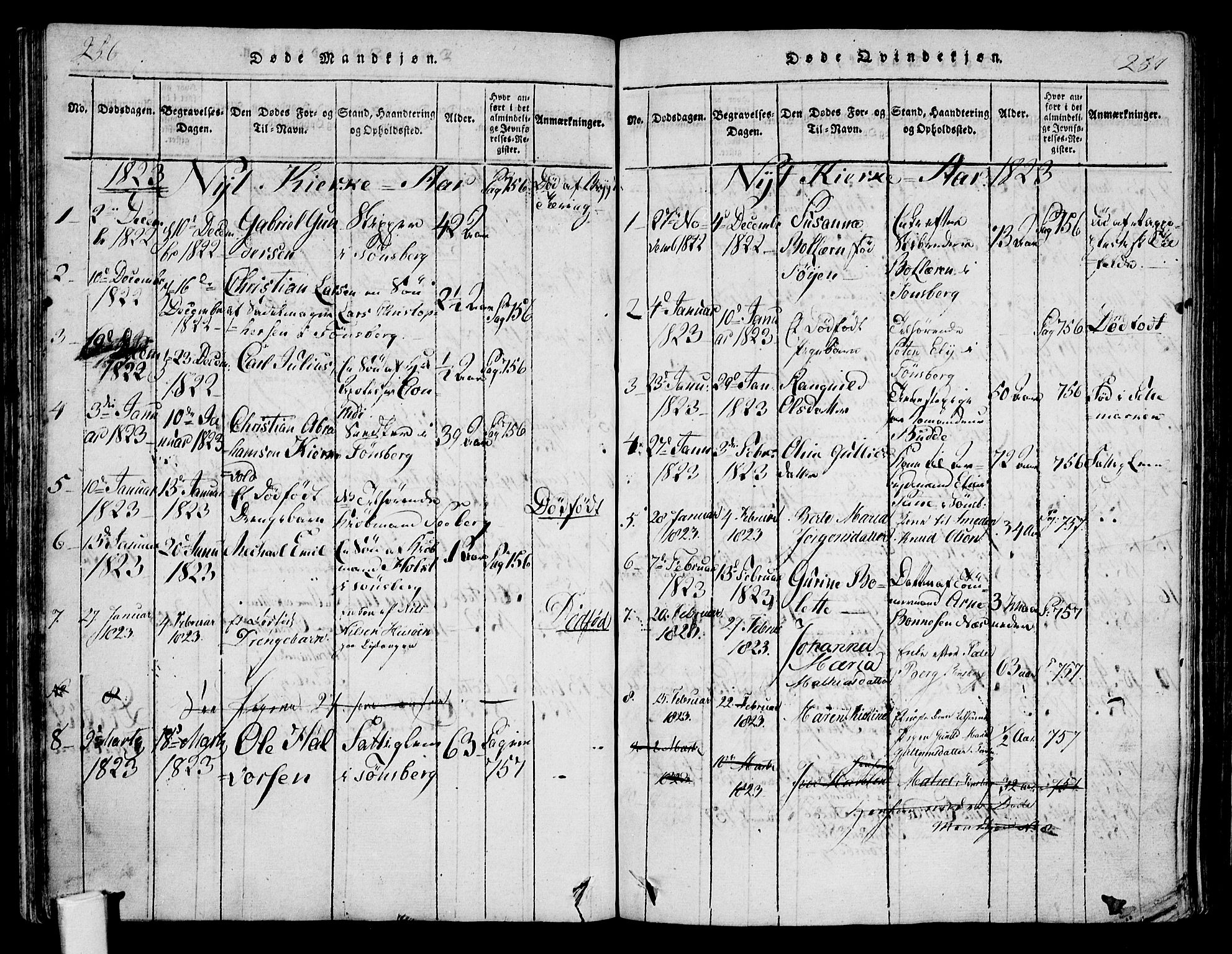 Tønsberg kirkebøker, SAKO/A-330/F/Fa/L0004: Parish register (official) no. I 4, 1813-1826, p. 256-257