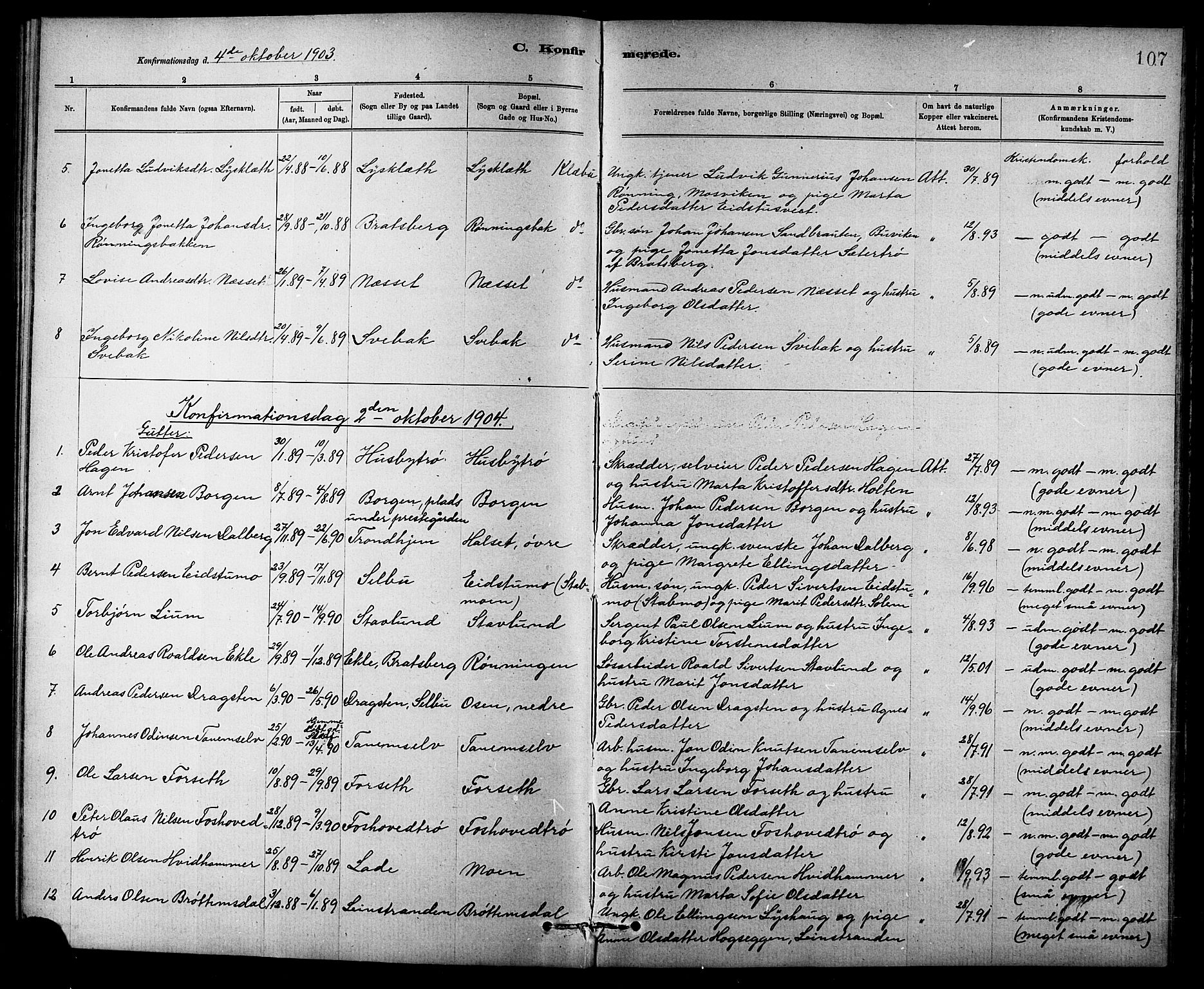 Ministerialprotokoller, klokkerbøker og fødselsregistre - Sør-Trøndelag, SAT/A-1456/618/L0452: Parish register (copy) no. 618C03, 1884-1906, p. 107