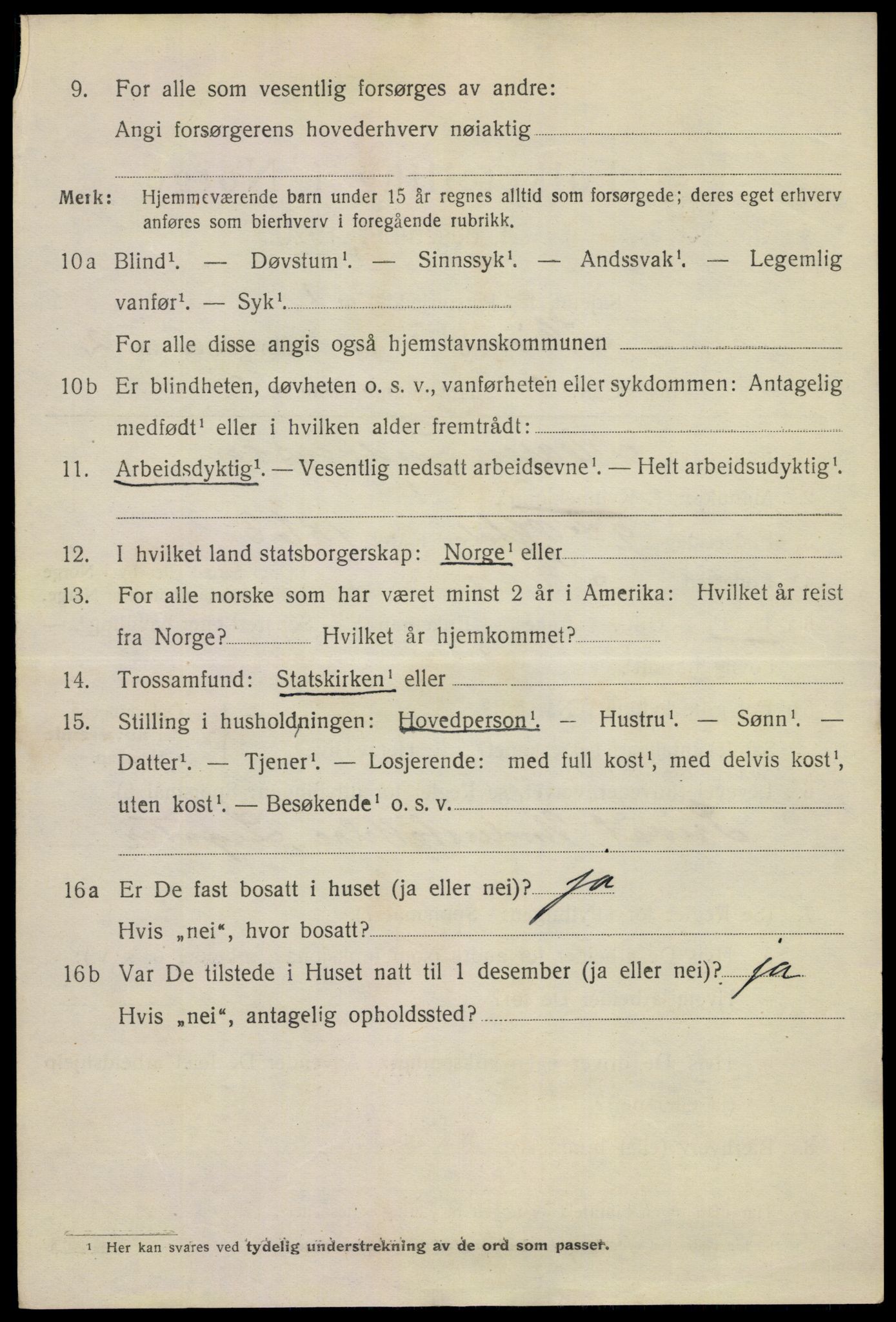 SAKO, 1920 census for Skien, 1920, p. 13533