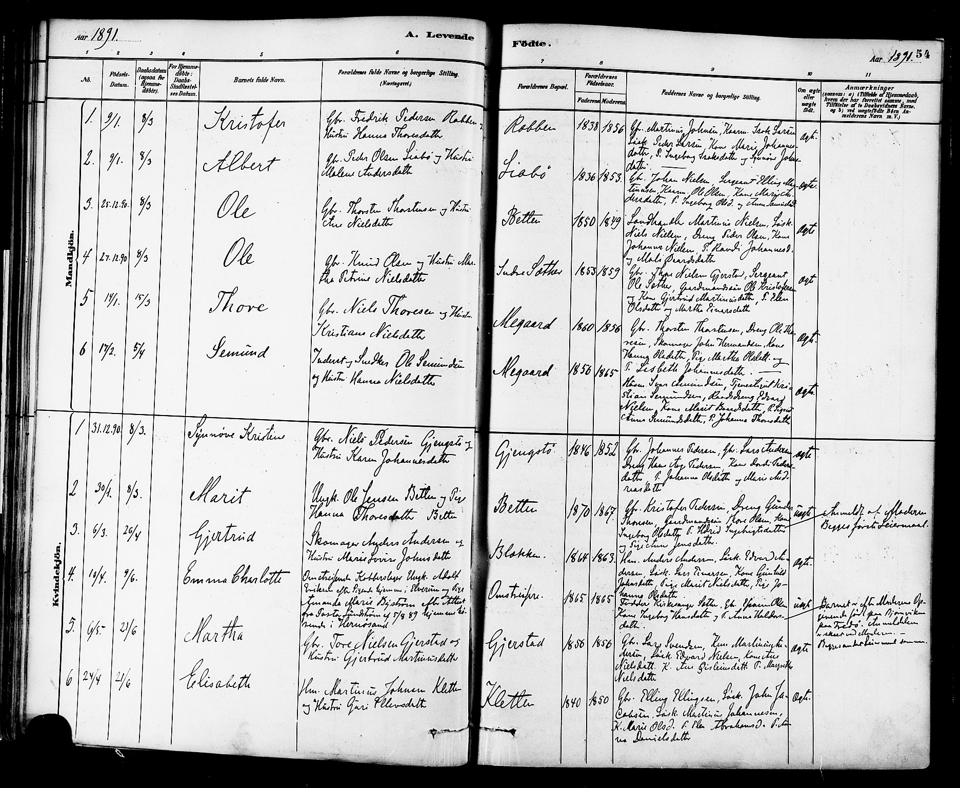 Ministerialprotokoller, klokkerbøker og fødselsregistre - Møre og Romsdal, SAT/A-1454/576/L0885: Parish register (official) no. 576A03, 1880-1898, p. 54