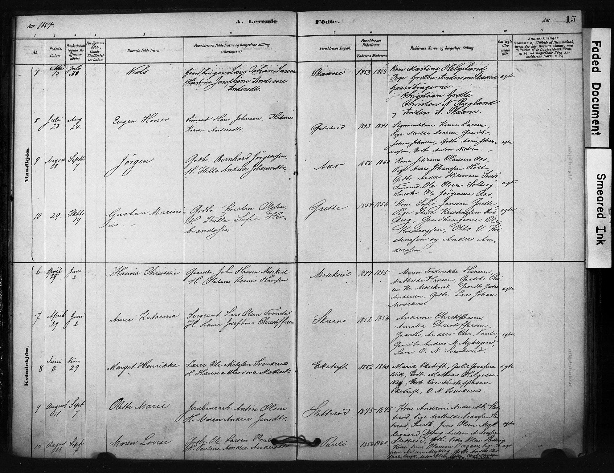 Borre kirkebøker, AV/SAKO-A-338/F/Fc/L0001: Parish register (official) no. III 1, 1878-1896, p. 15