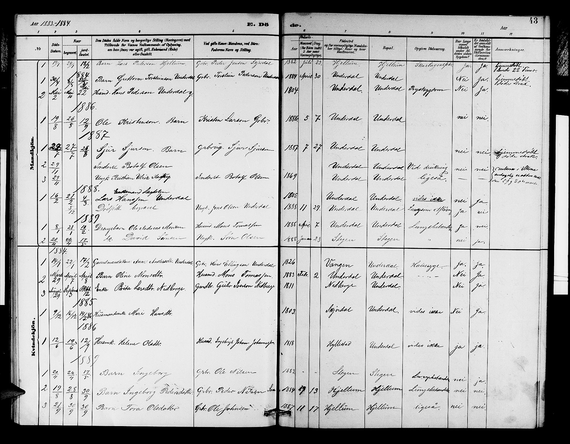 Aurland sokneprestembete, SAB/A-99937/H/Hb/Hbd/L0002: Parish register (copy) no. D 2, 1883-1920, p. 43