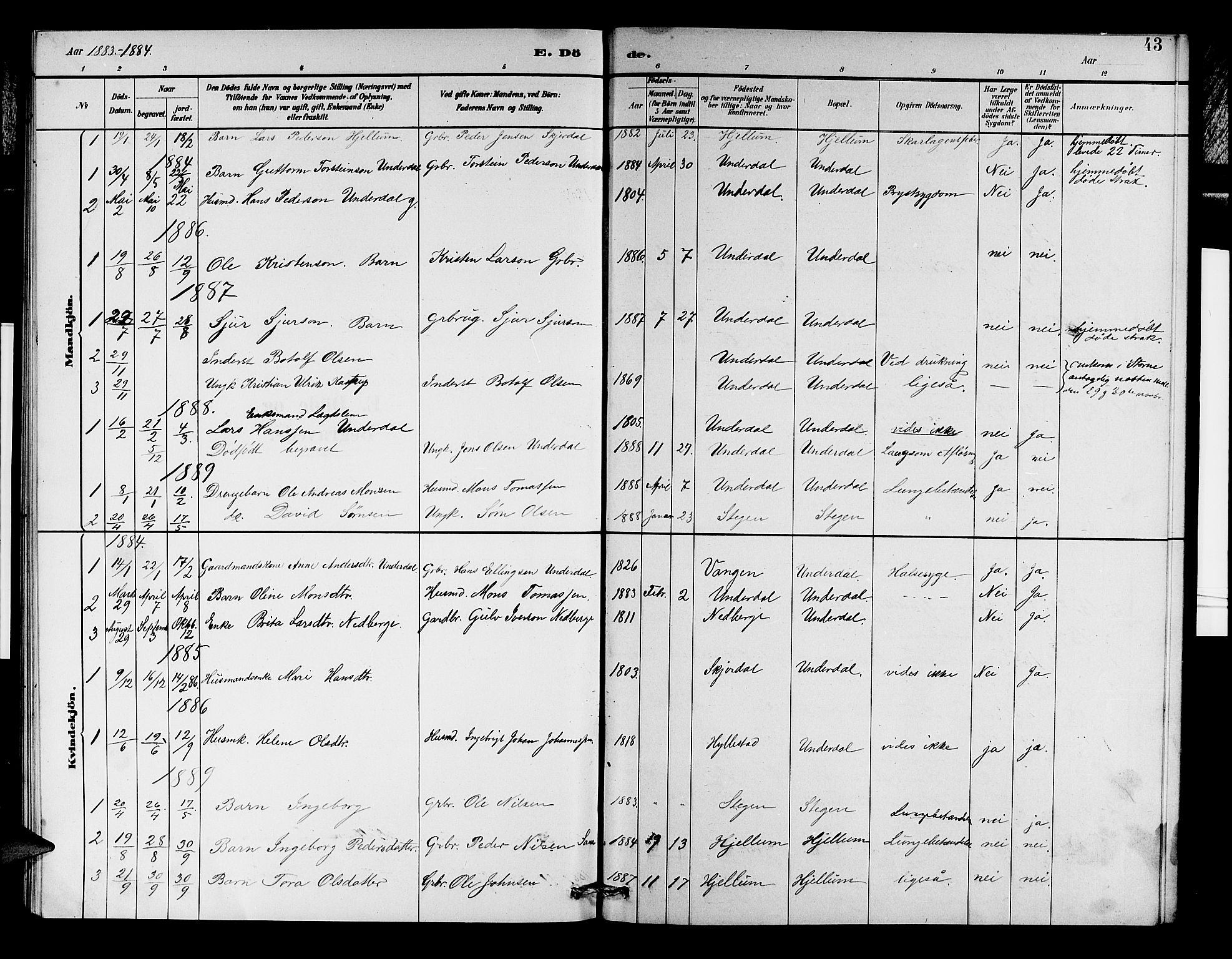 Aurland sokneprestembete, AV/SAB-A-99937/H/Hb/Hbd/L0002: Parish register (copy) no. D 2, 1883-1920, p. 43