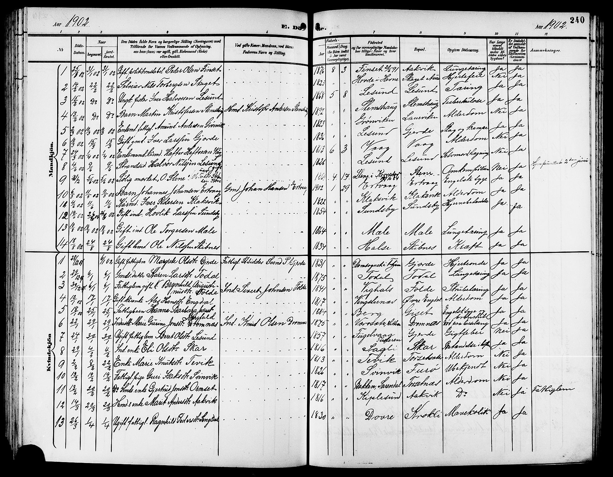 Ministerialprotokoller, klokkerbøker og fødselsregistre - Møre og Romsdal, AV/SAT-A-1454/578/L0910: Parish register (copy) no. 578C03, 1900-1921, p. 240