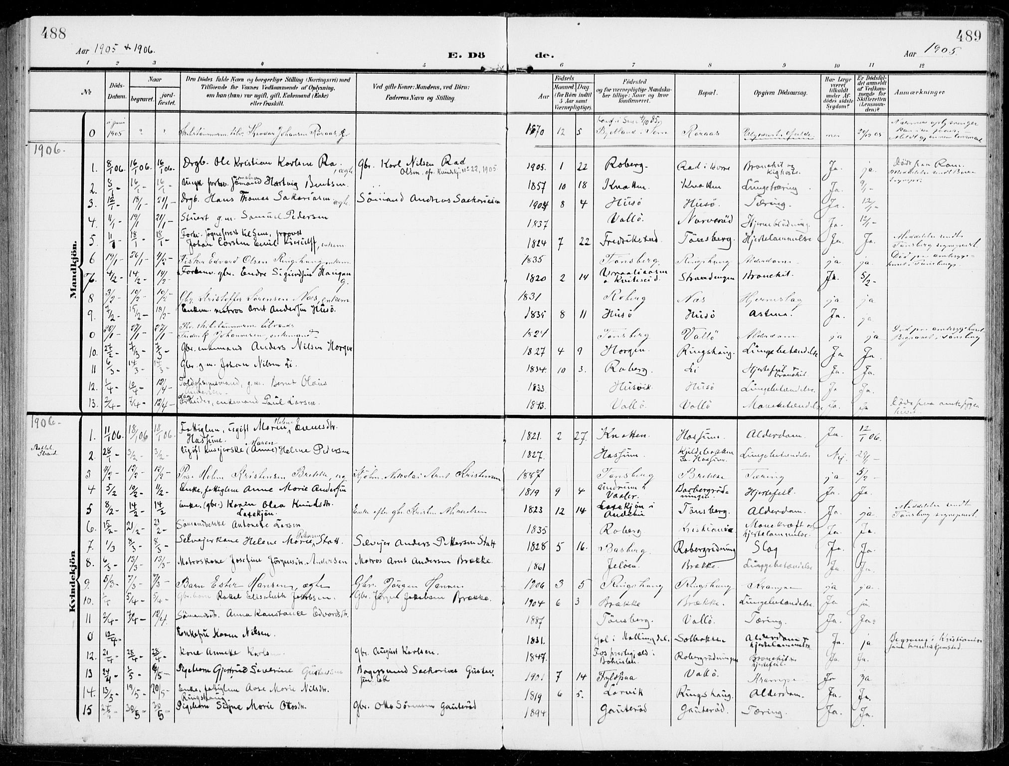Sem kirkebøker, SAKO/A-5/F/Fb/L0006: Parish register (official) no. II 6, 1905-1918, p. 488-489