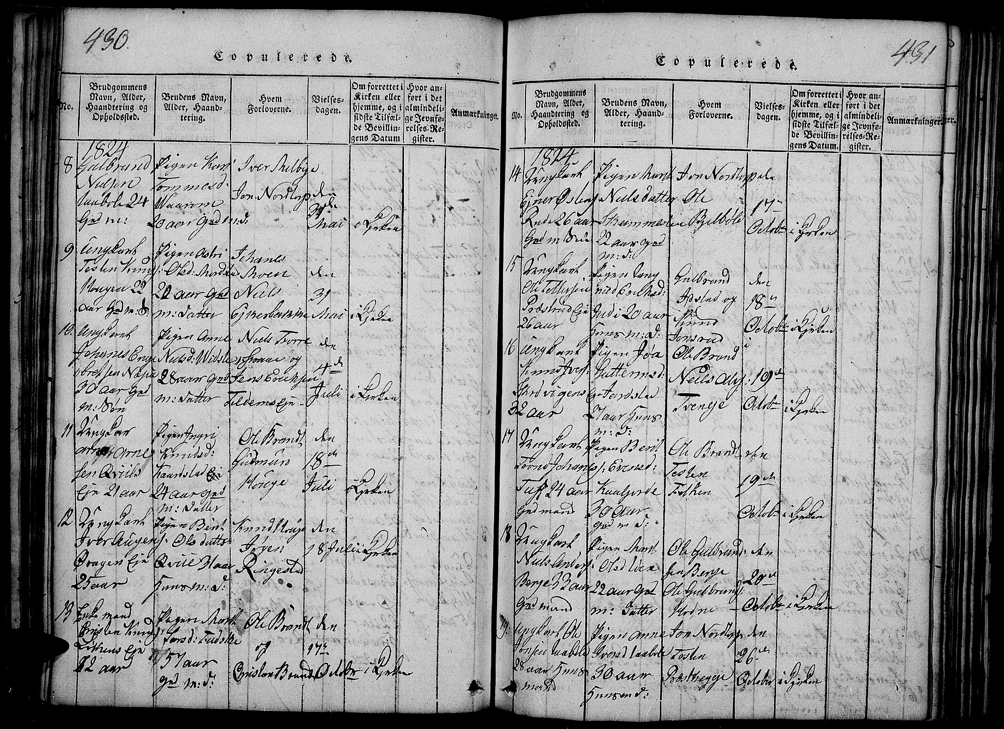 Slidre prestekontor, SAH/PREST-134/H/Ha/Haa/L0002: Parish register (official) no. 2, 1814-1830, p. 430-431