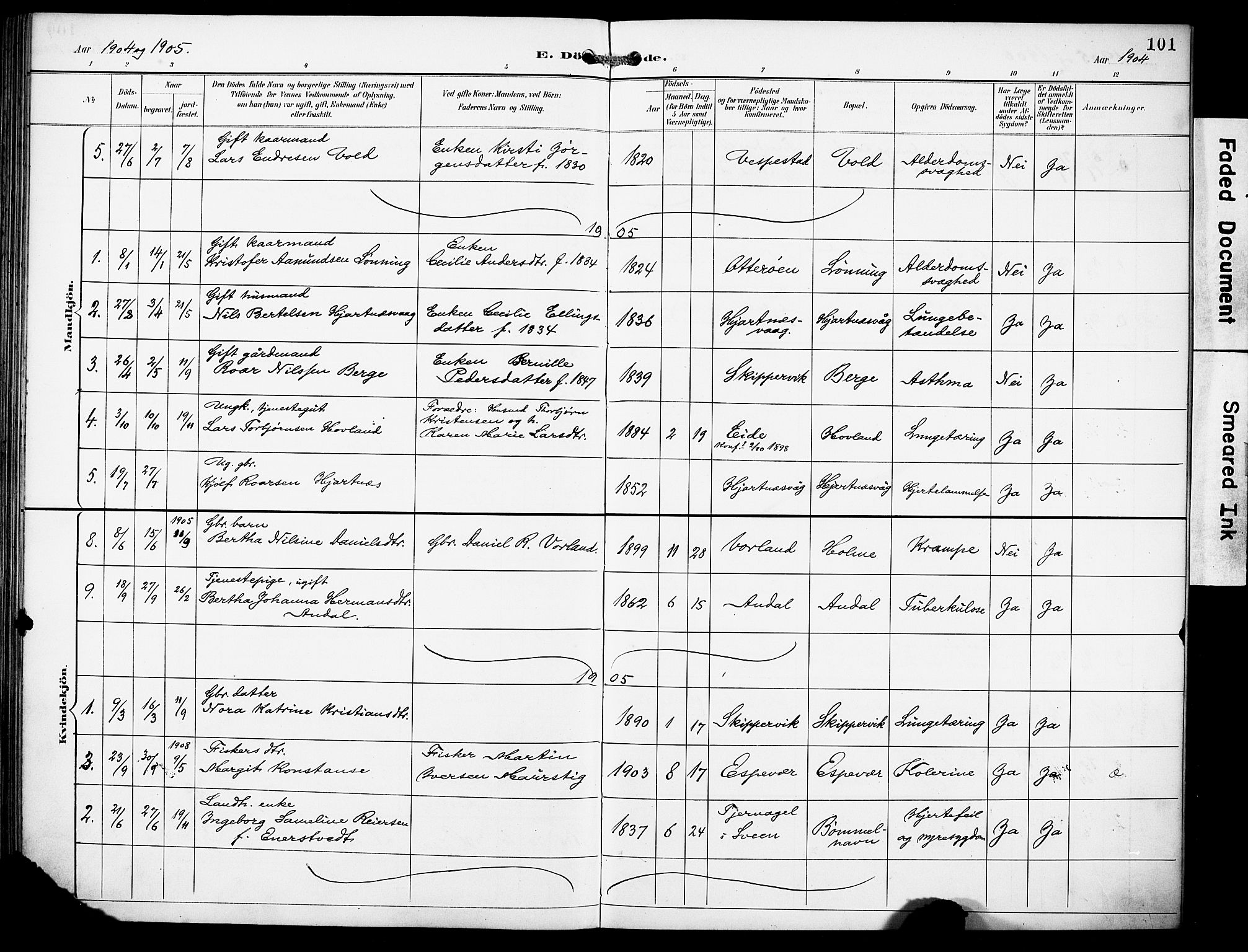 Finnås sokneprestembete, AV/SAB-A-99925/H/Ha/Haa/Haad/L0002: Parish register (official) no. D 2, 1895-1906, p. 101