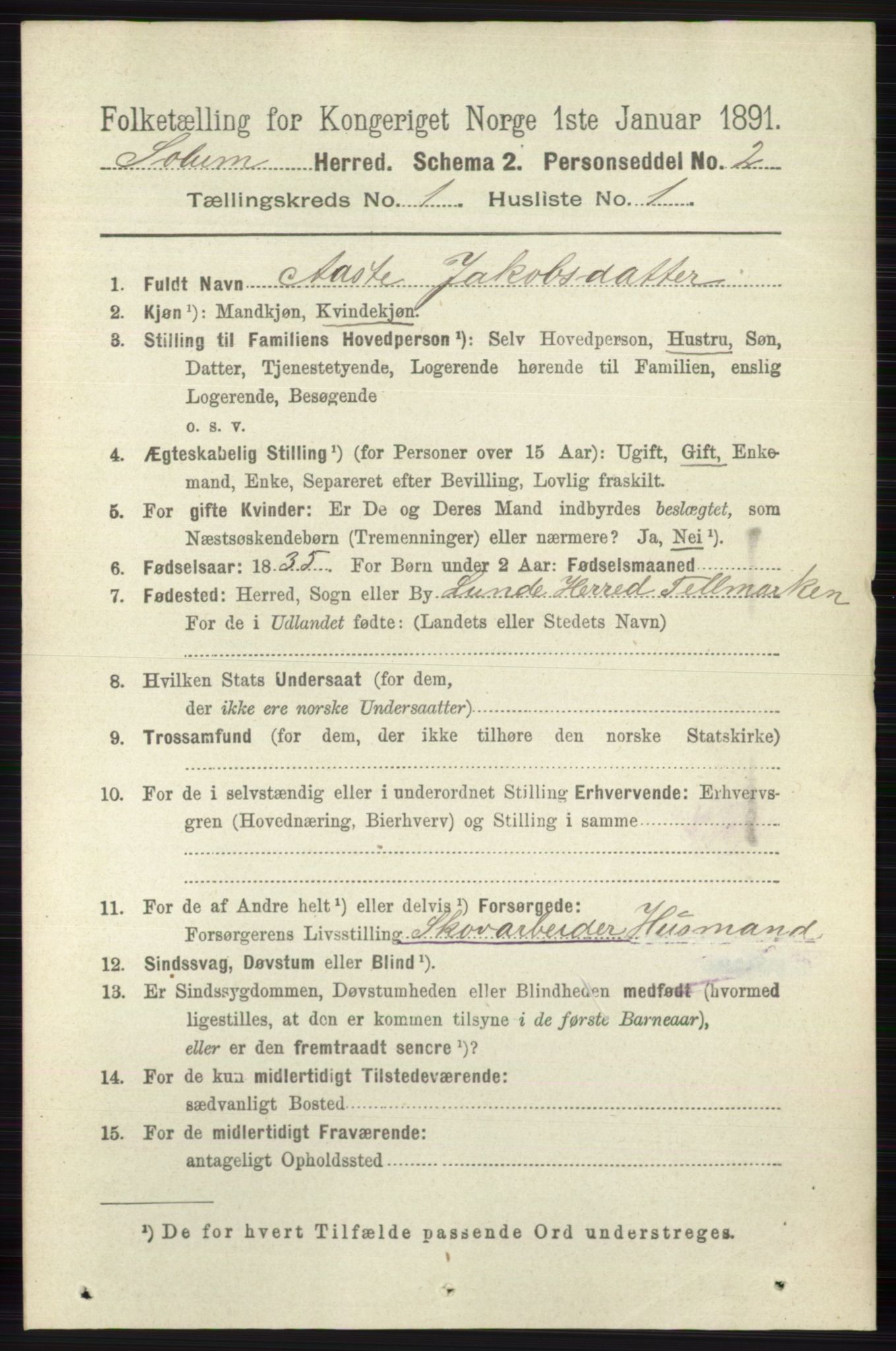 RA, 1891 census for 0818 Solum, 1891, p. 48