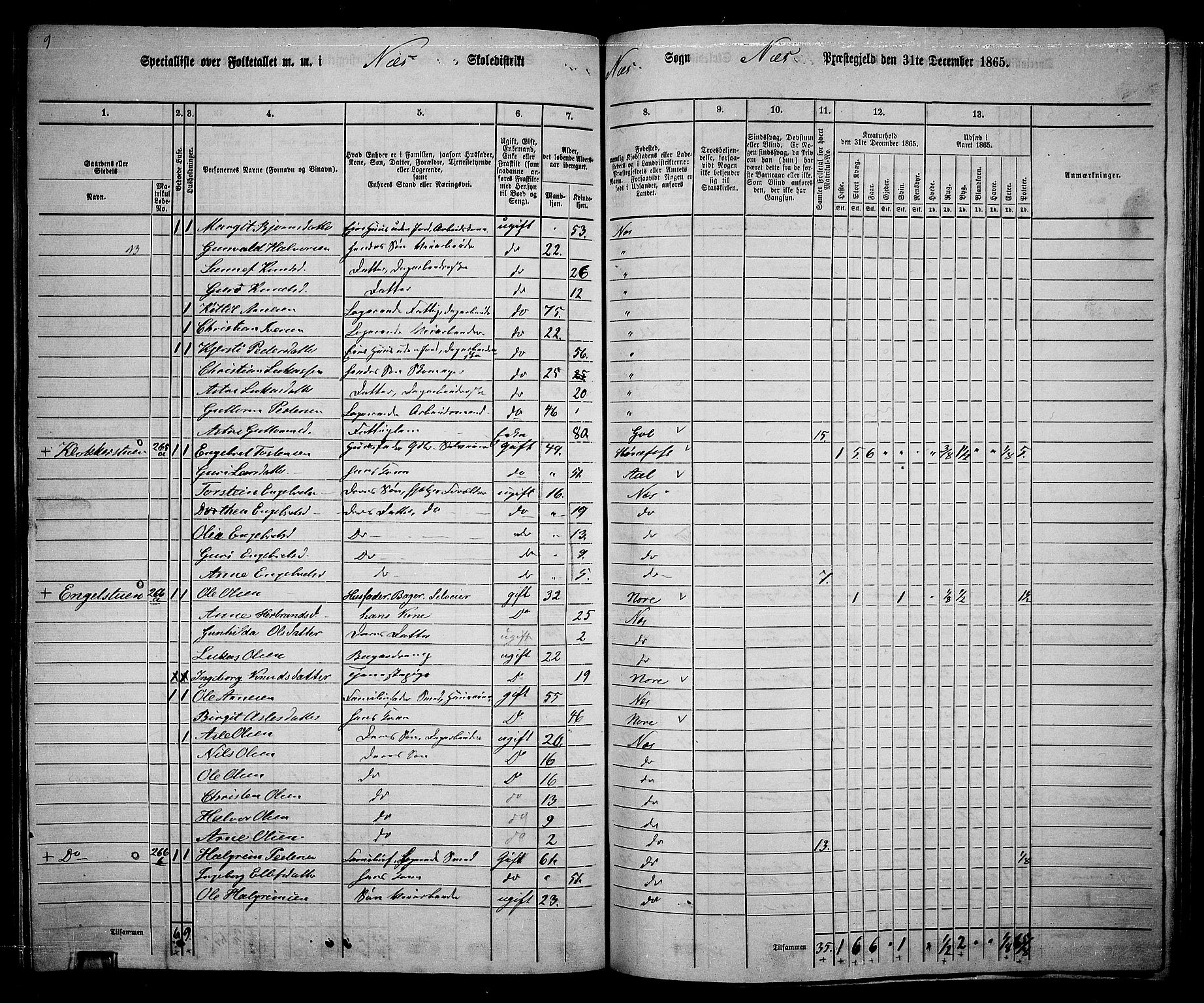 RA, 1865 census for Nes, 1865, p. 157