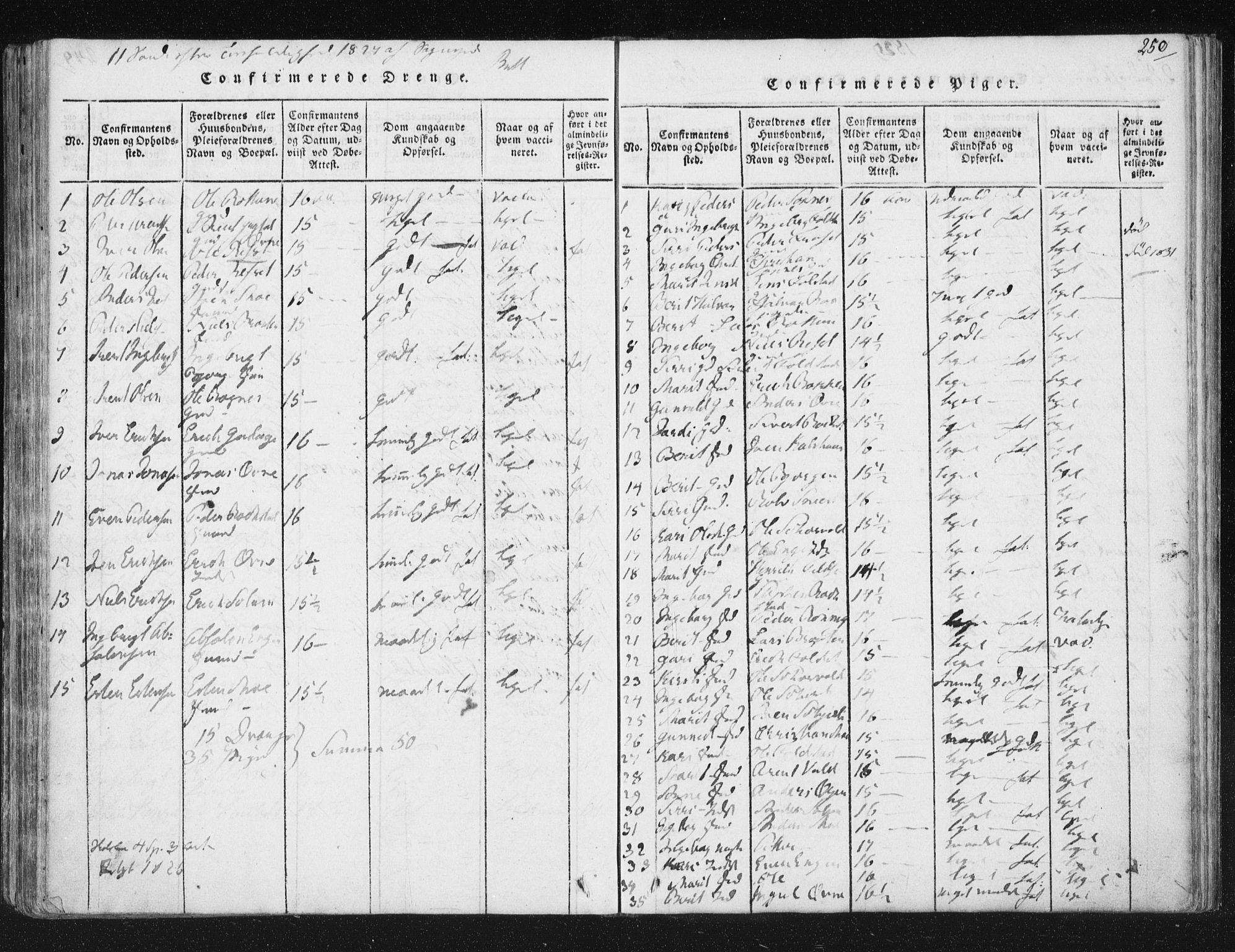 Ministerialprotokoller, klokkerbøker og fødselsregistre - Sør-Trøndelag, SAT/A-1456/687/L0996: Parish register (official) no. 687A04, 1816-1842, p. 250