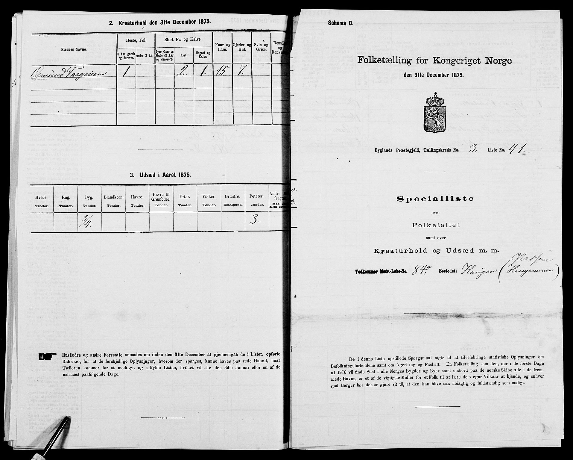 SAK, 1875 census for 0938P Bygland, 1875, p. 313